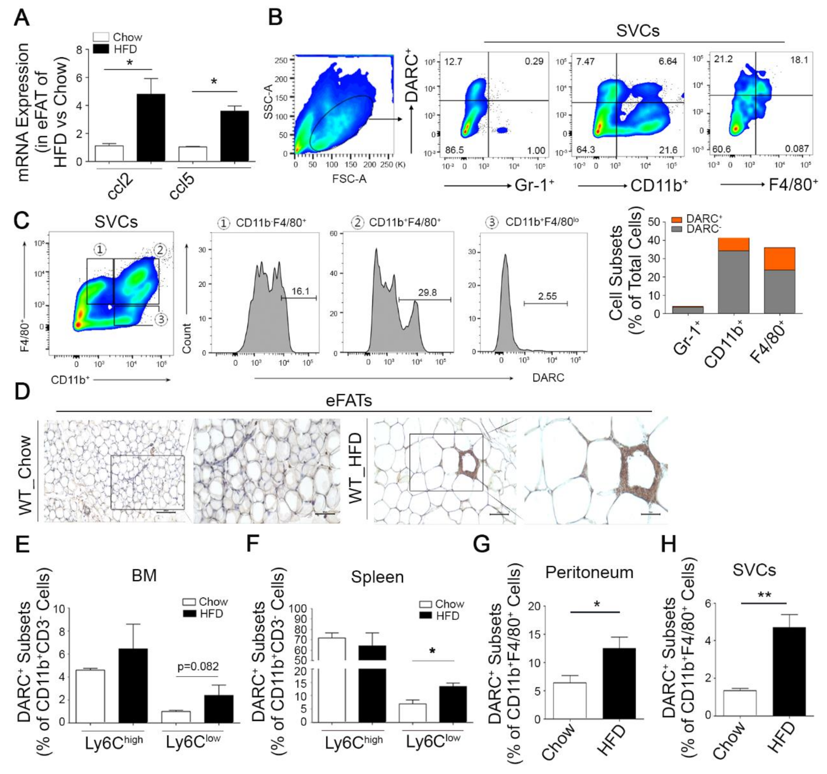 Cells 08 01587 g001 Cells 08 01587 g001