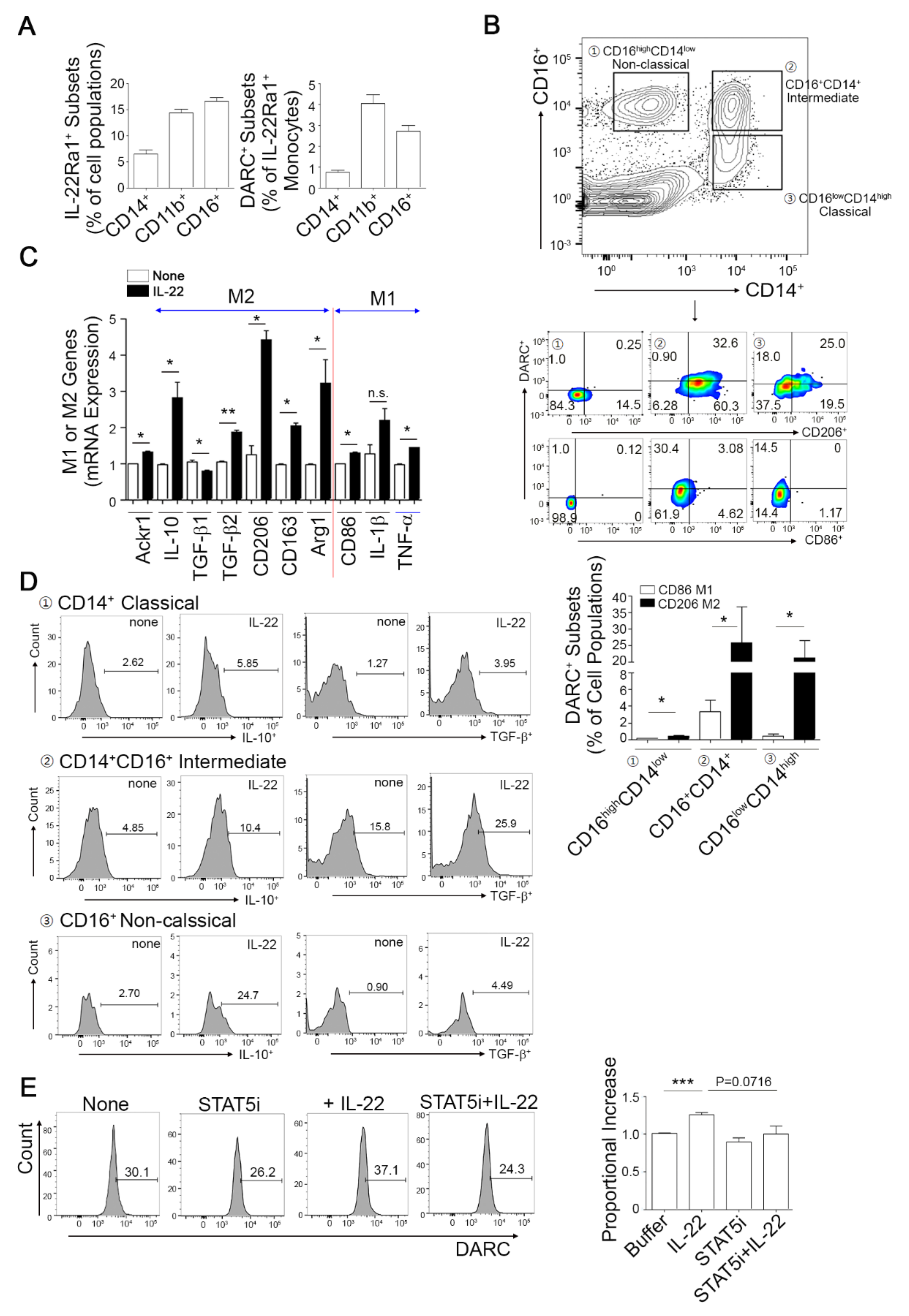 Cells 08 01587 g005 Cells 08 01587 g005