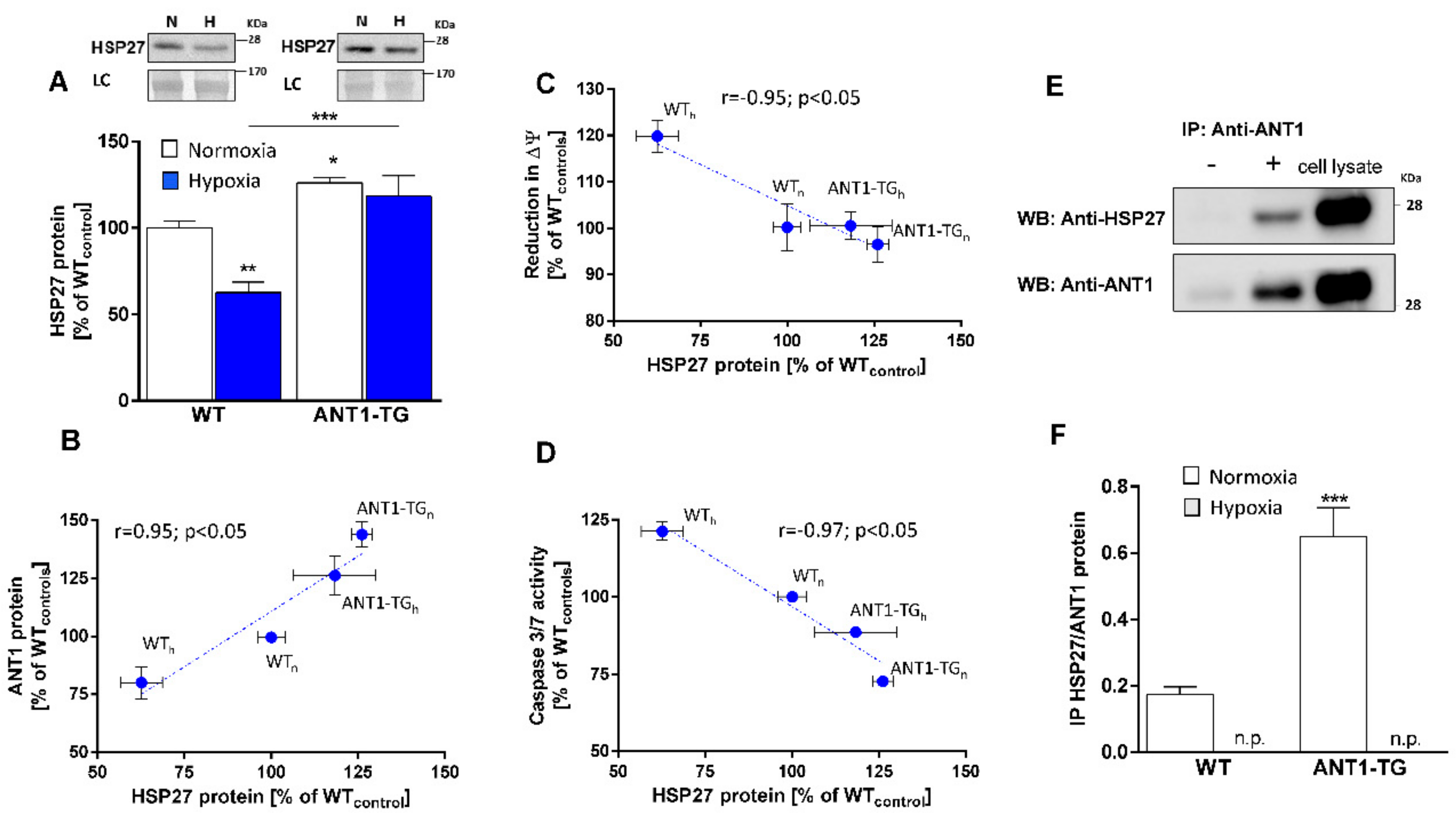 Cells 08 01588 g001 Cells 08 01588 g001