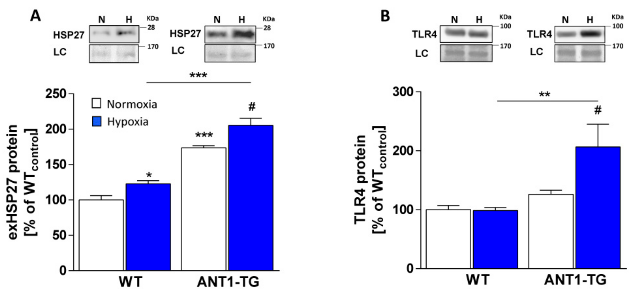 Cells 08 01588 g002 Cells 08 01588 g002