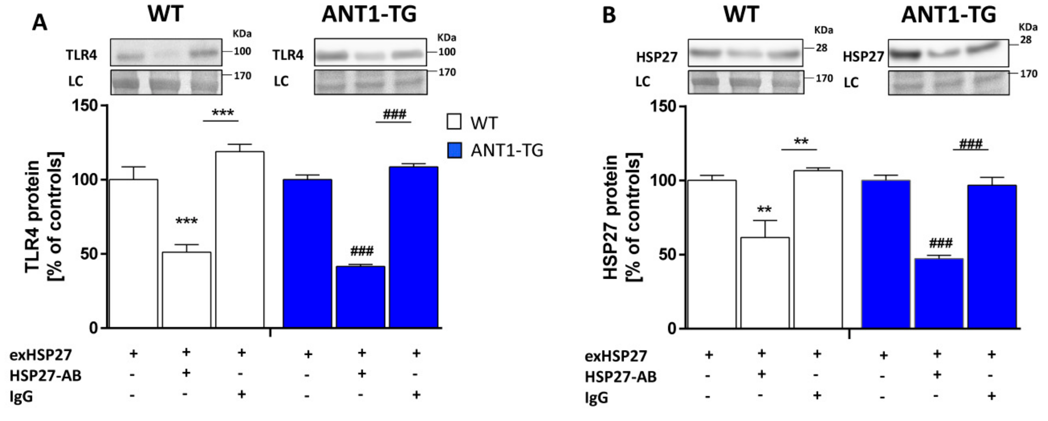 Cells 08 01588 g003 Cells 08 01588 g003