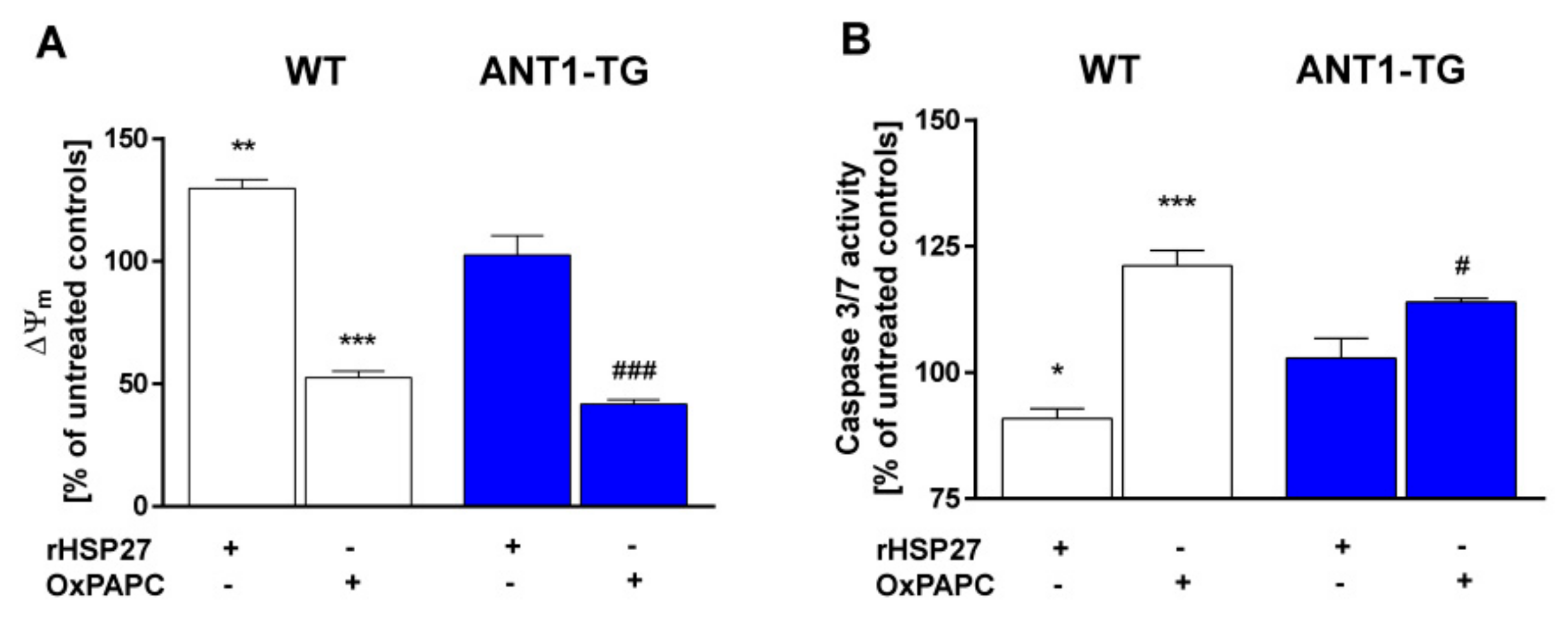 Cells 08 01588 g006 Cells 08 01588 g006