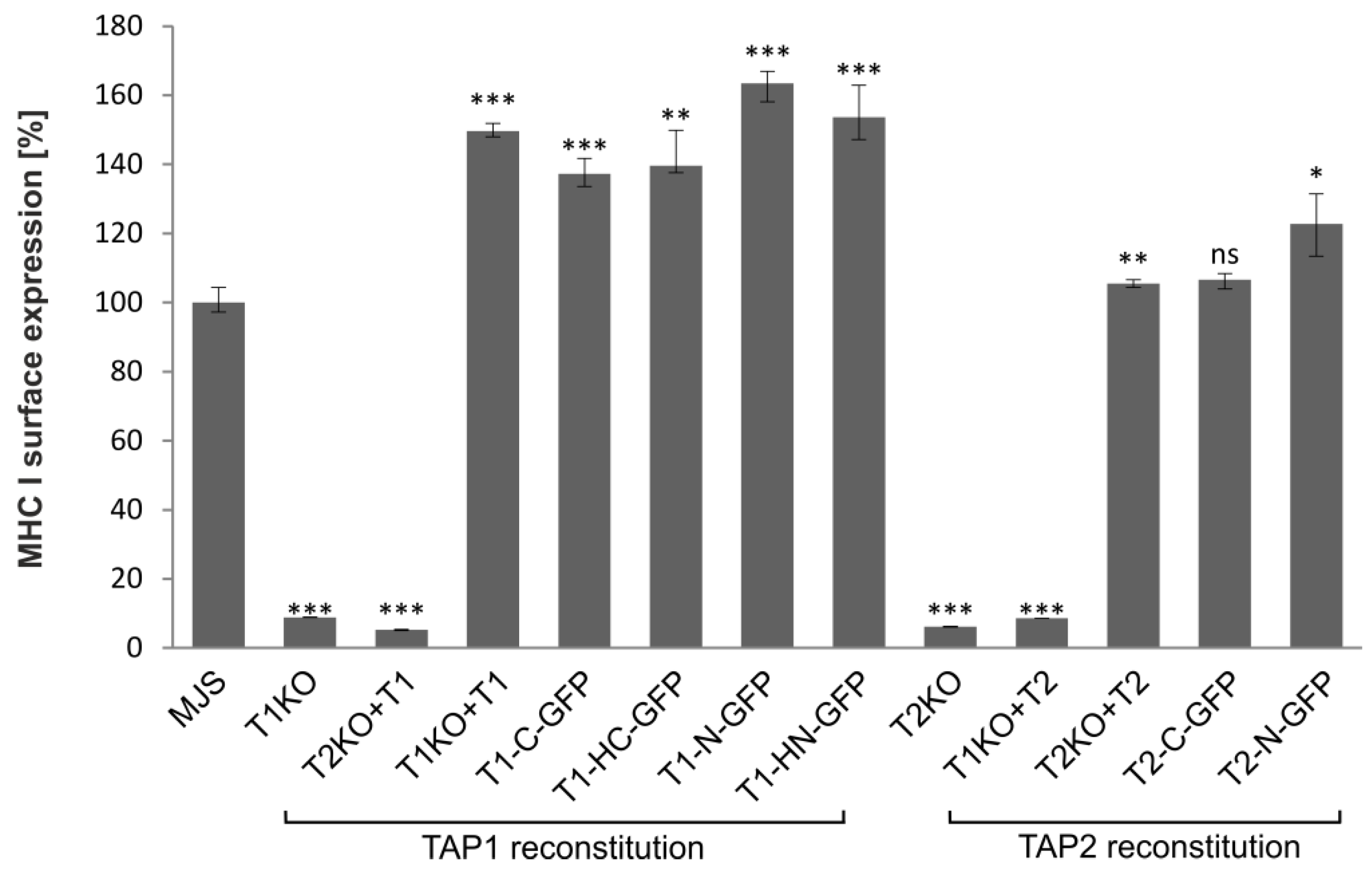 Cells 08 01590 g003 Cells 08 01590 g003