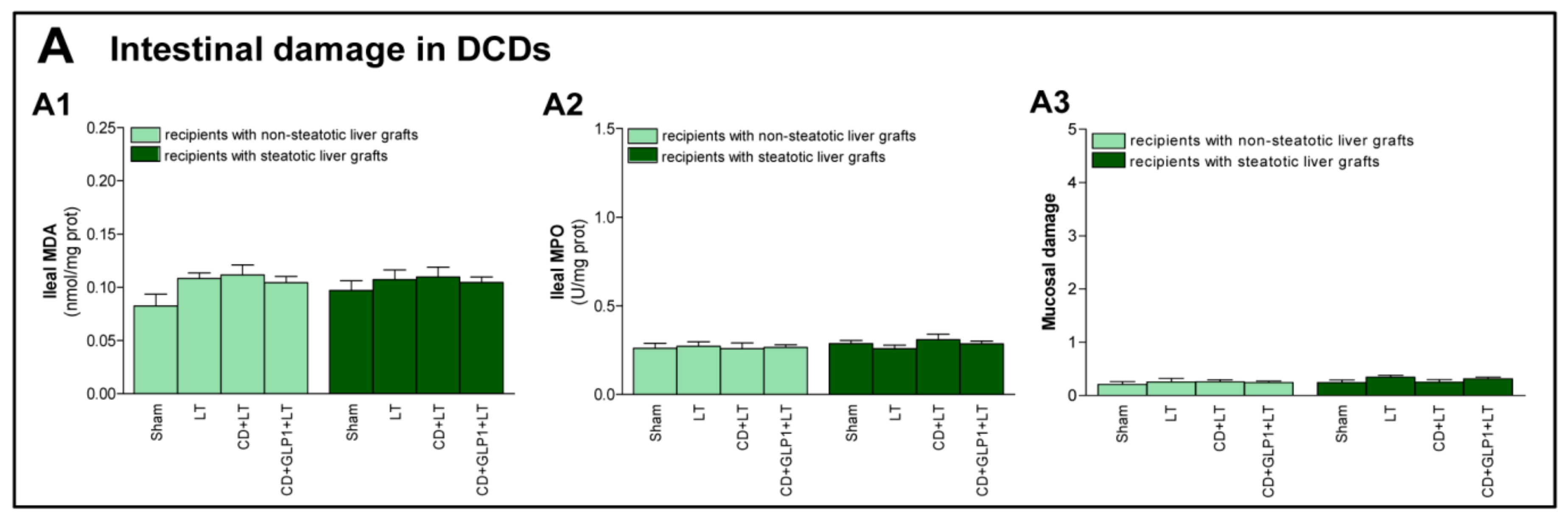 Cells 08 01599 g003 Cells 08 01599 g003