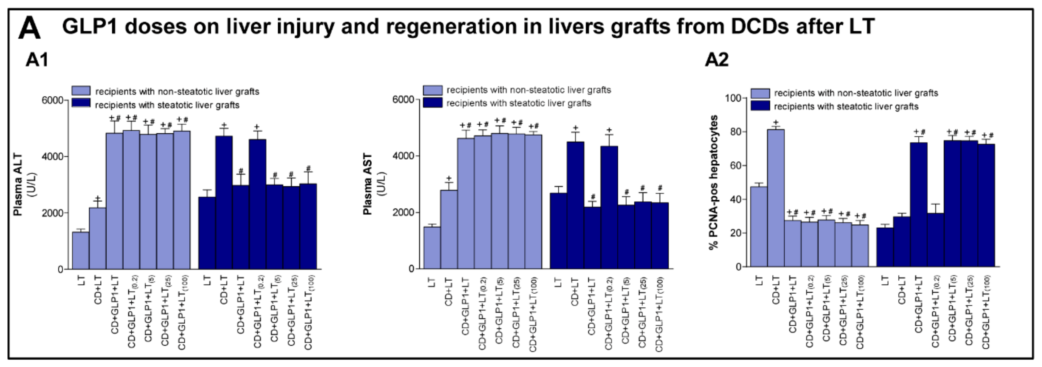 Cells 08 01599 g004 Cells 08 01599 g004