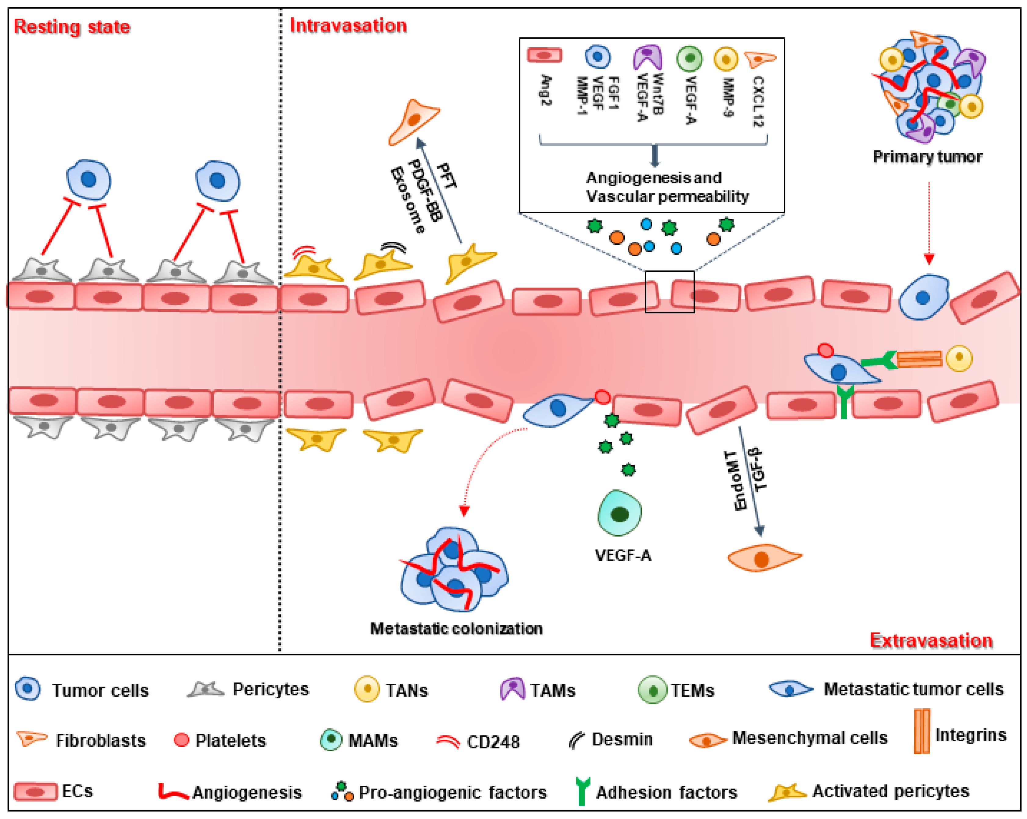 Cells 08 01602 g001 Cells 08 01602 g001