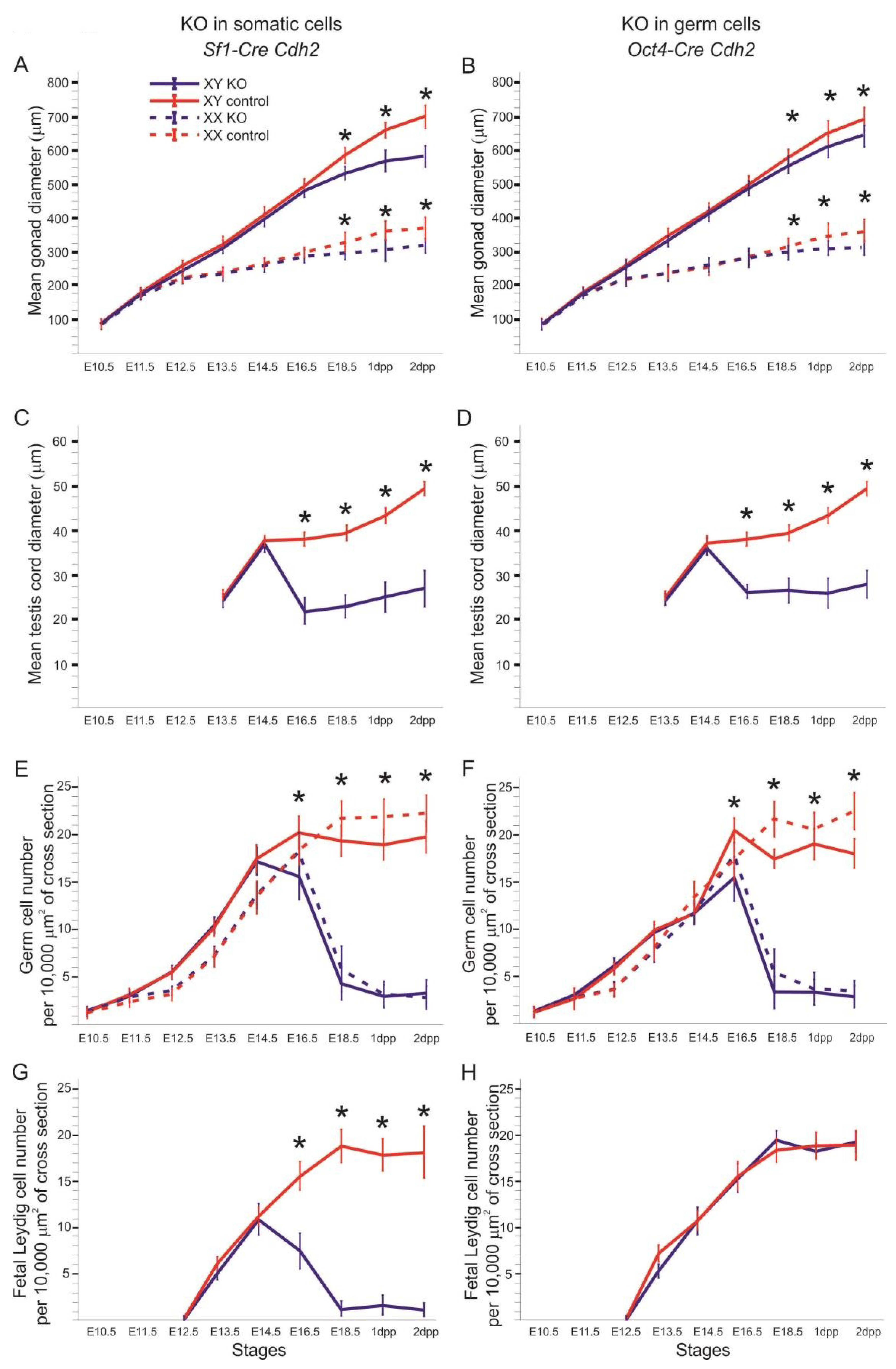 Cells 08 01610 g002 Cells 08 01610 g002