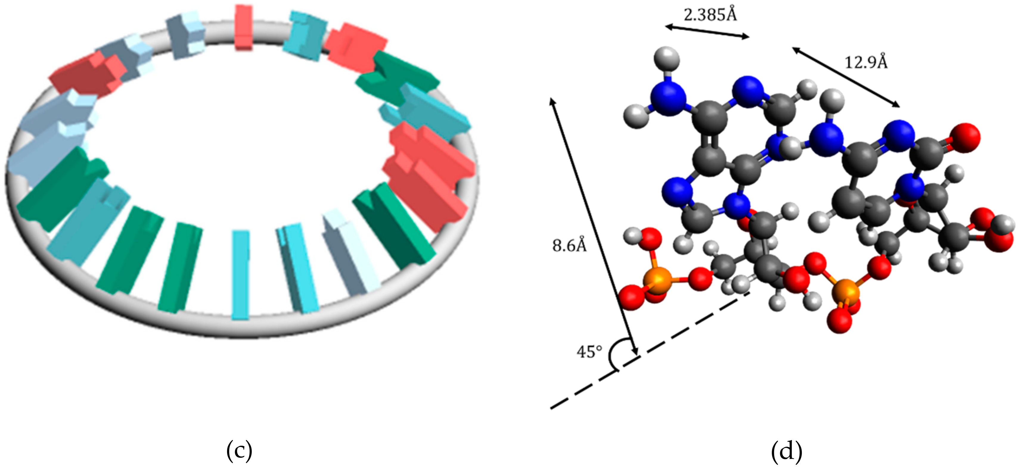 Cells 08 01615 g002b