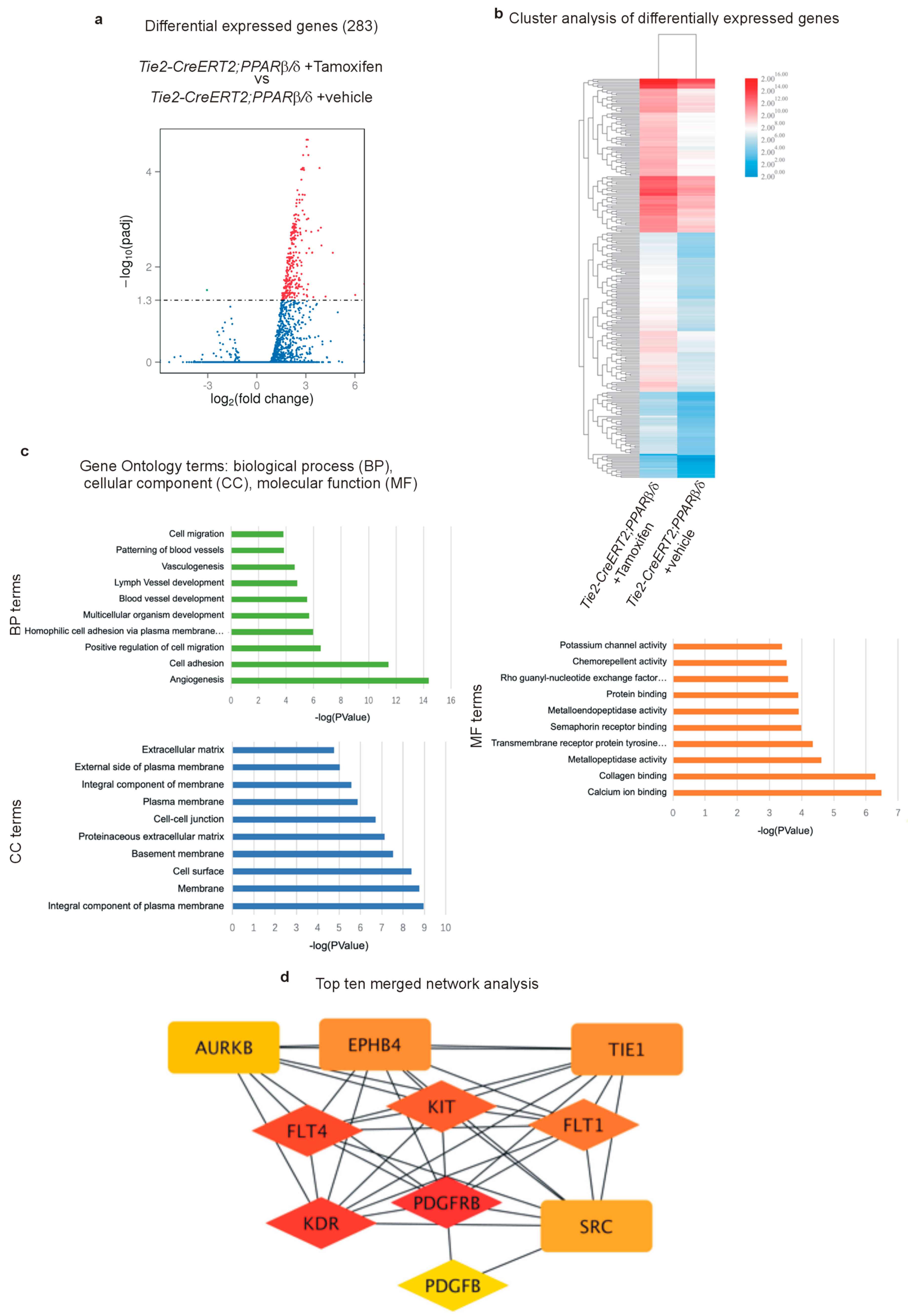 Cells 08 01623 g008 Cells 08 01623 g008