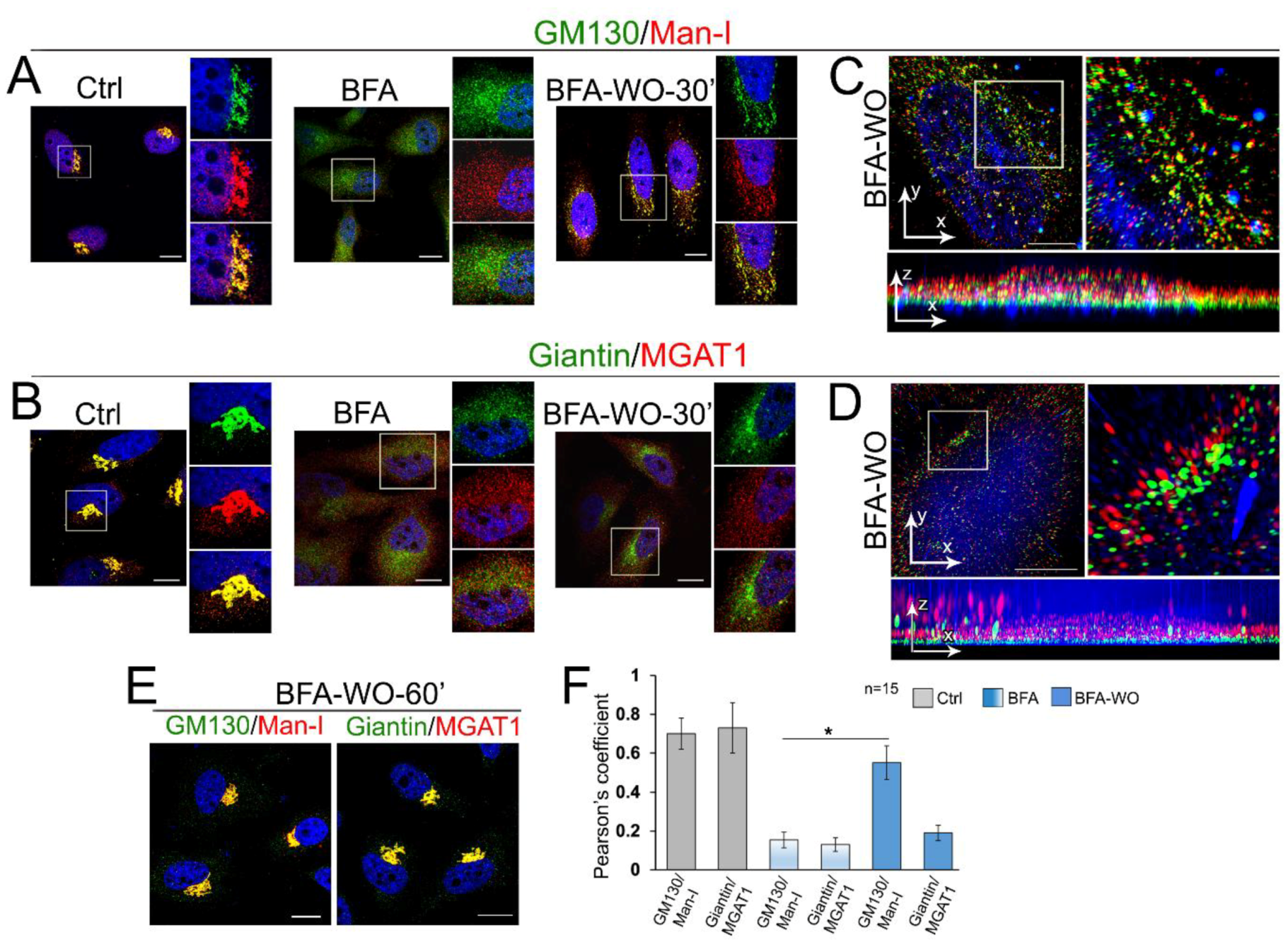 Cells 08 01631 g004