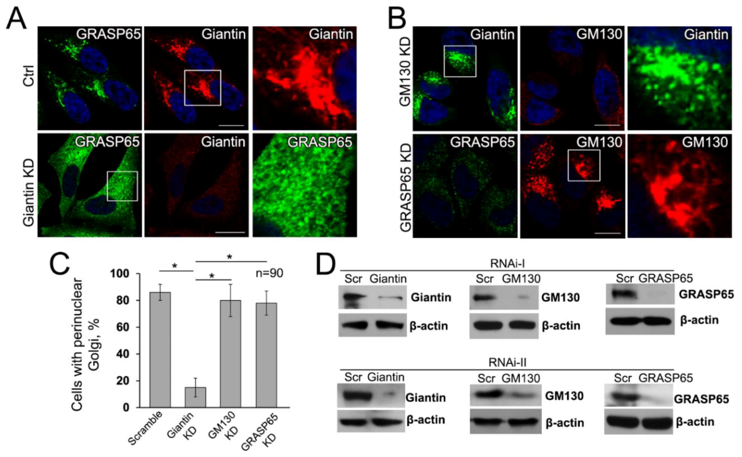 Cells 08 01631 g006
