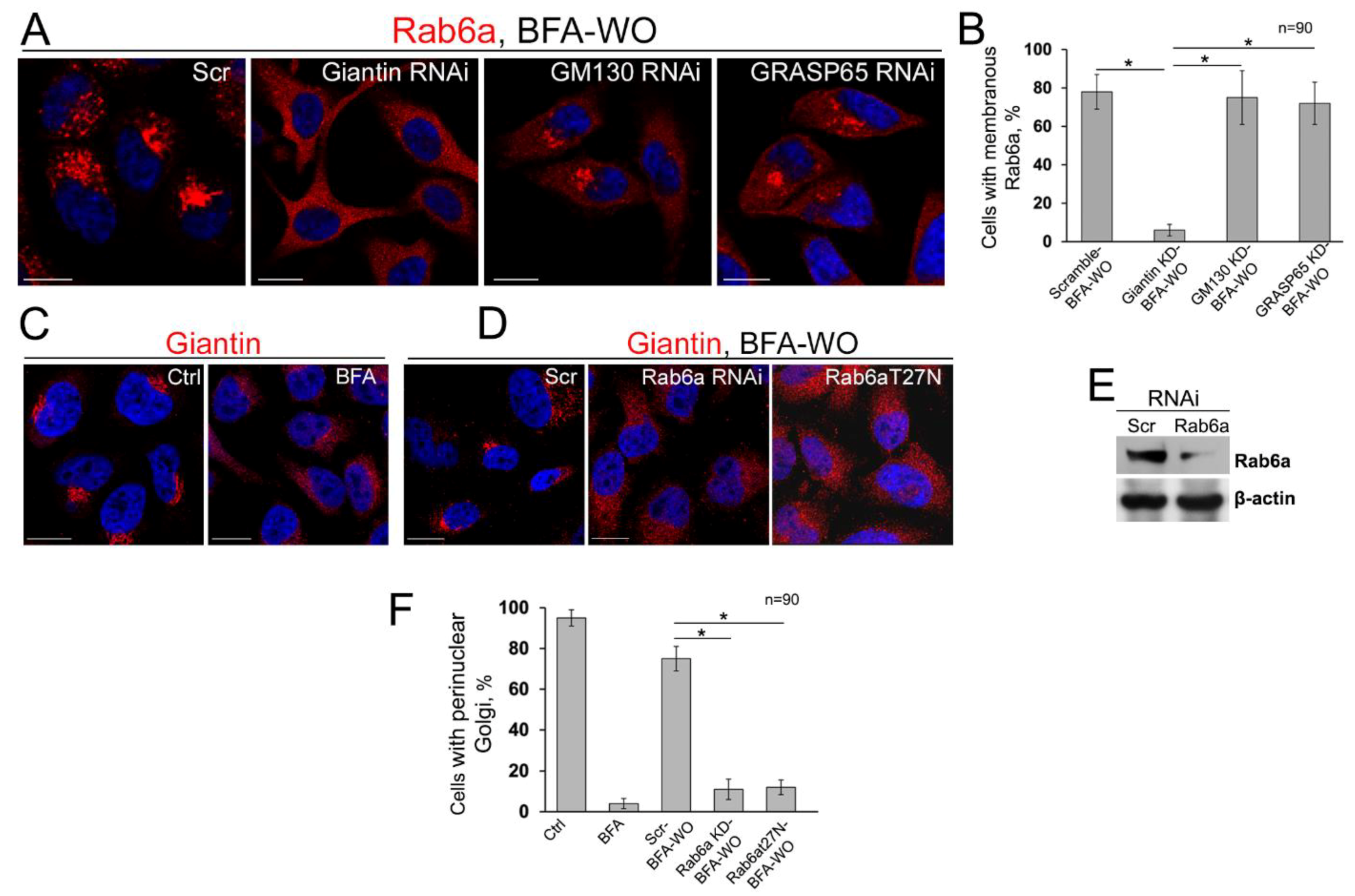Cells 08 01631 g008