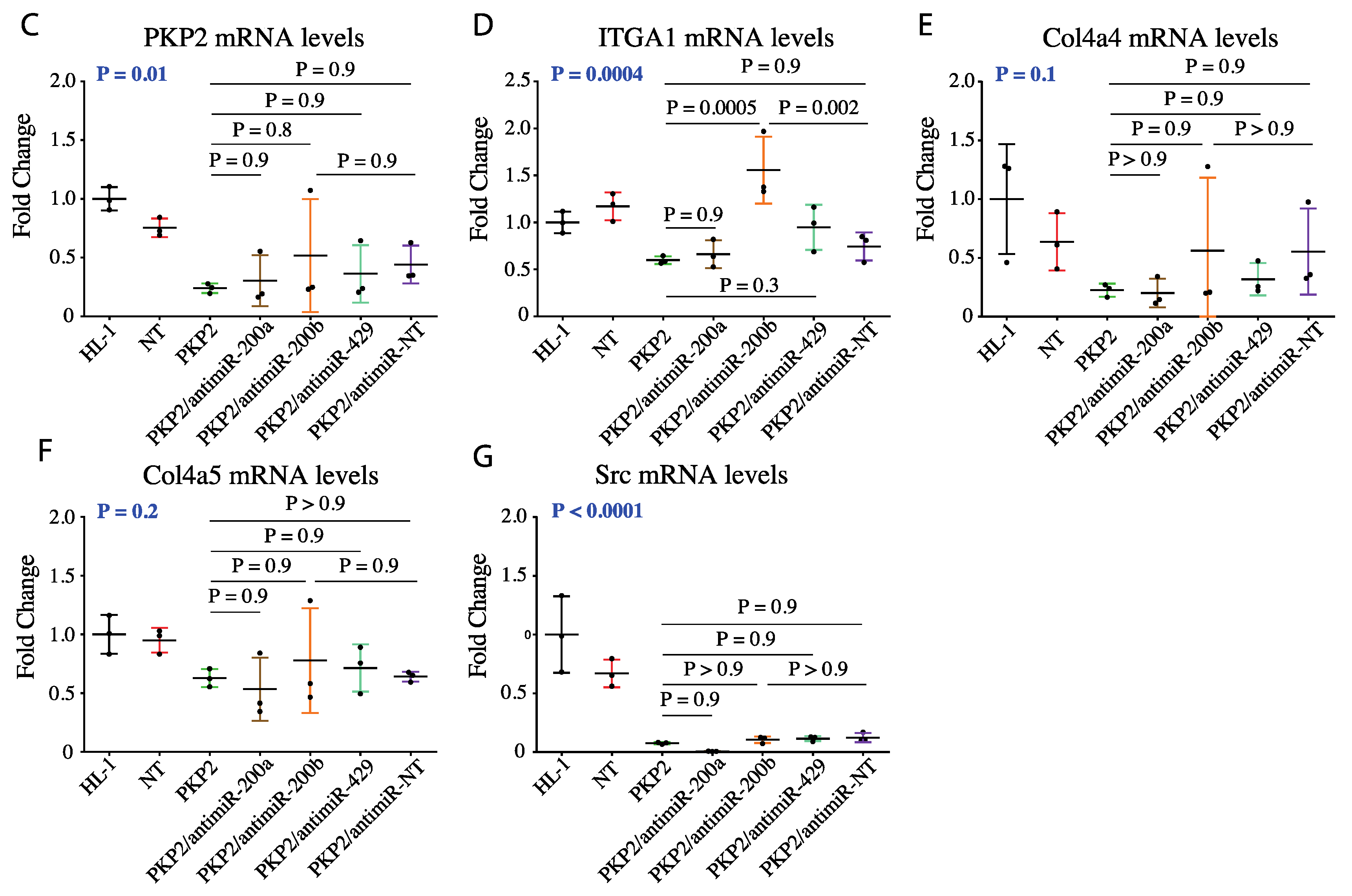 Cells 08 01639 g003b