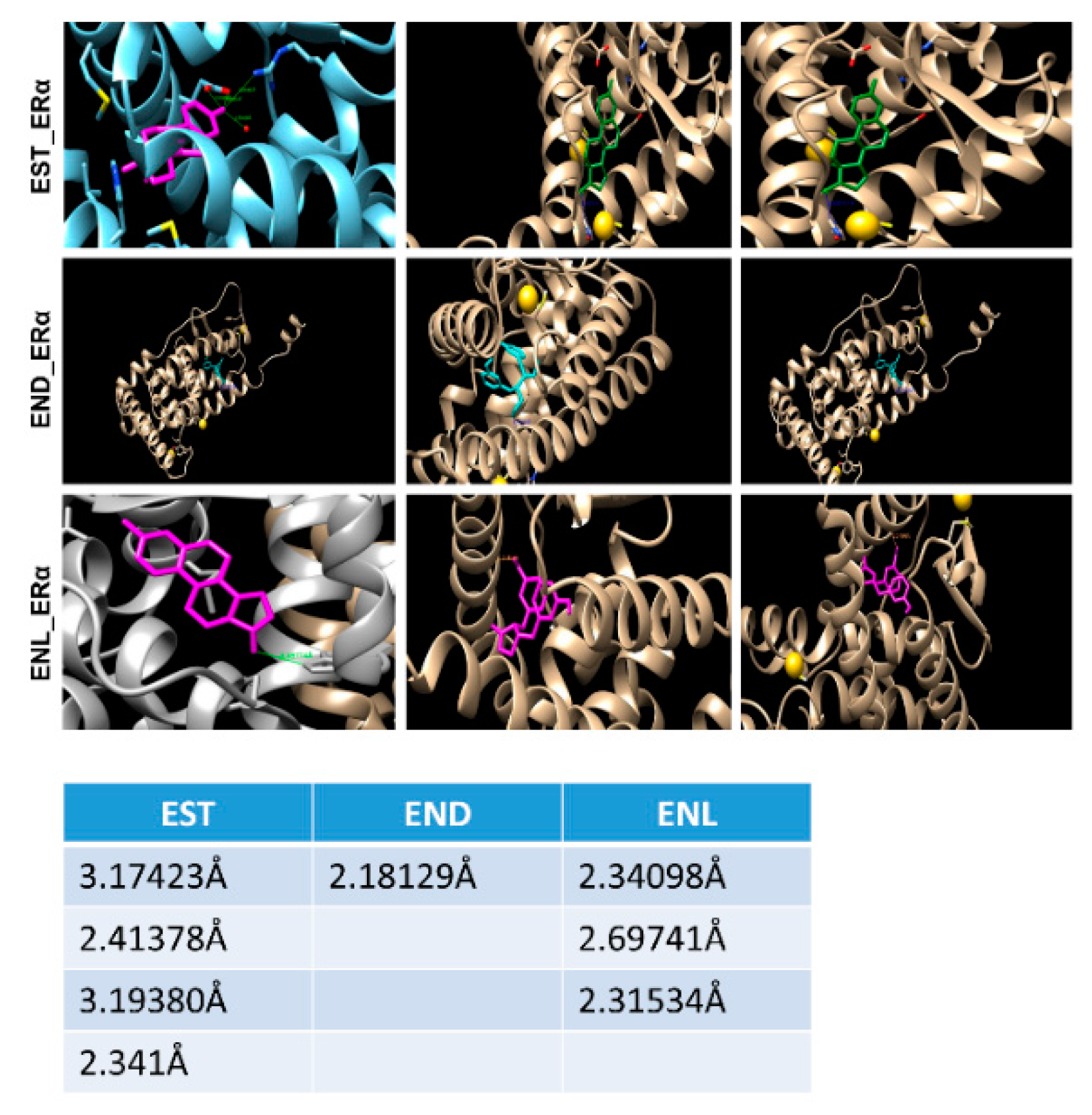 Cells 08 01642 g005