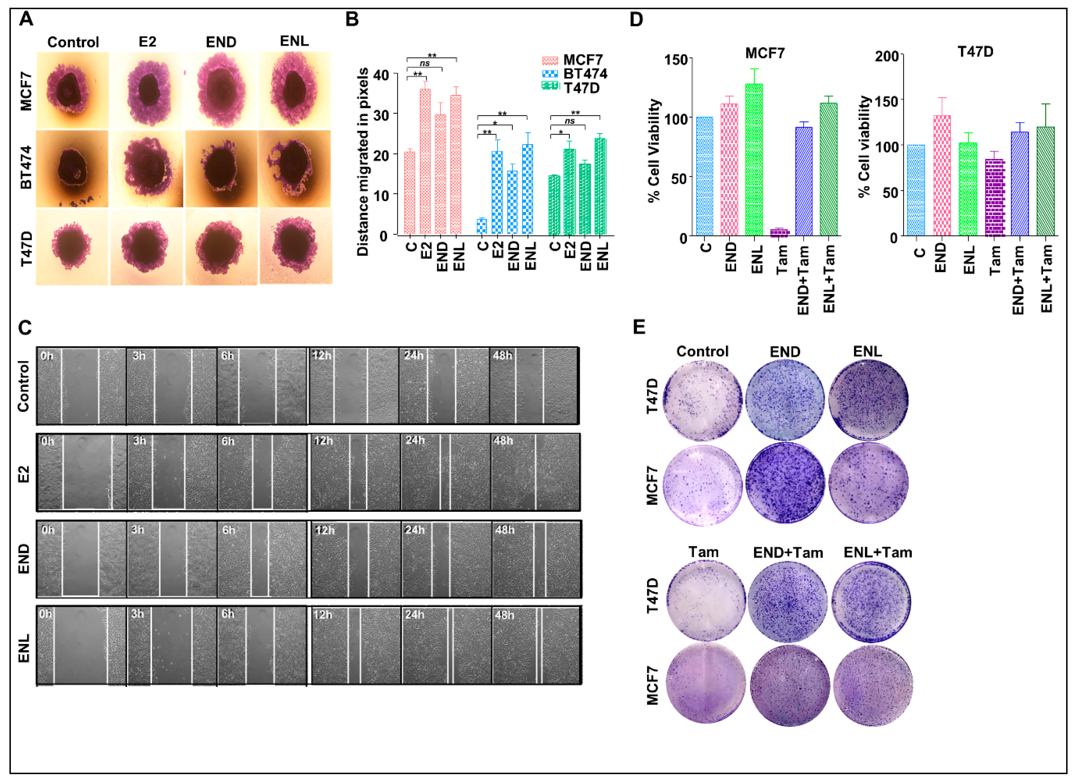 Cells 08 01642 g008