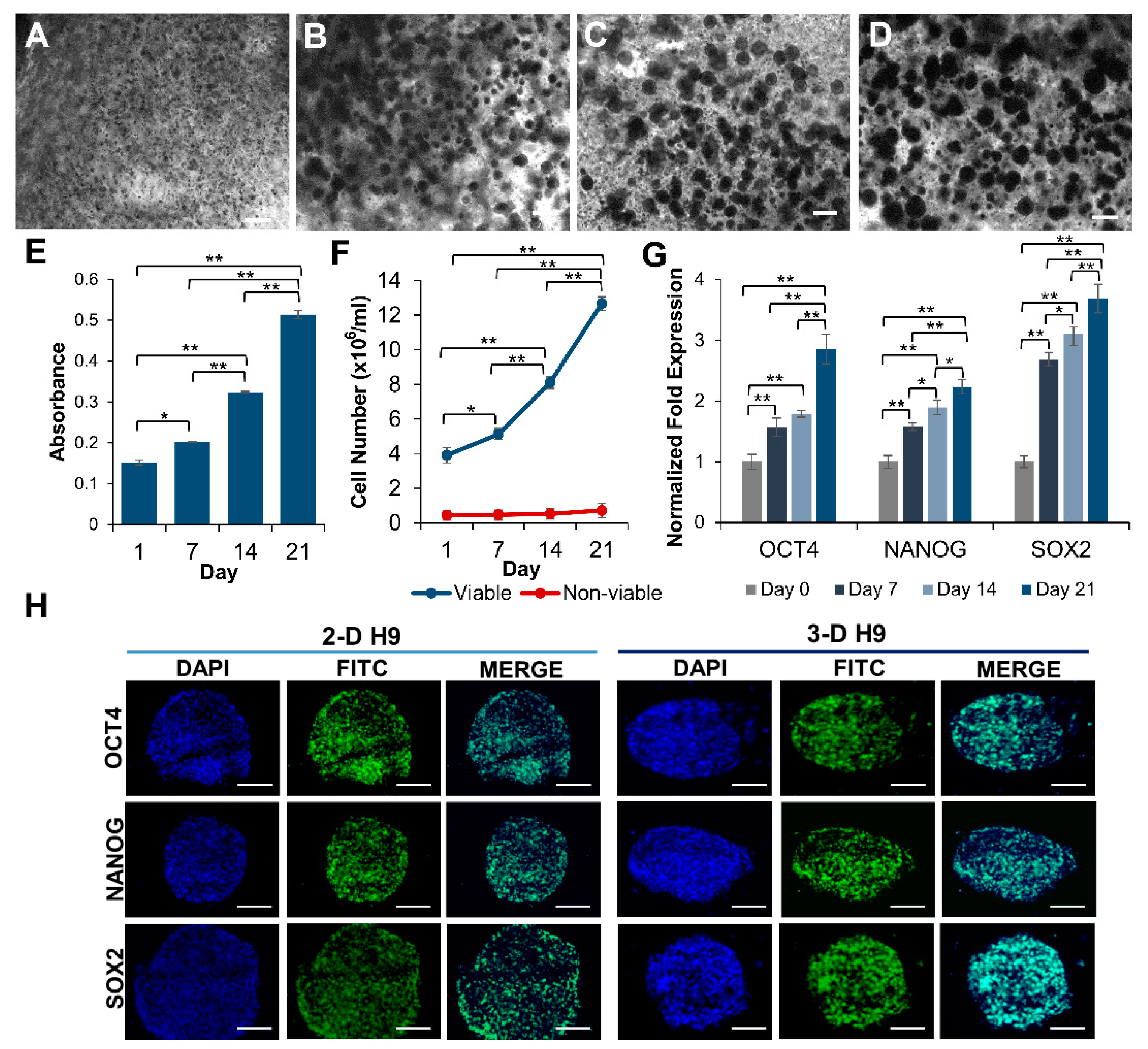 Cells 08 01650 g002 Cells 08 01650 g002