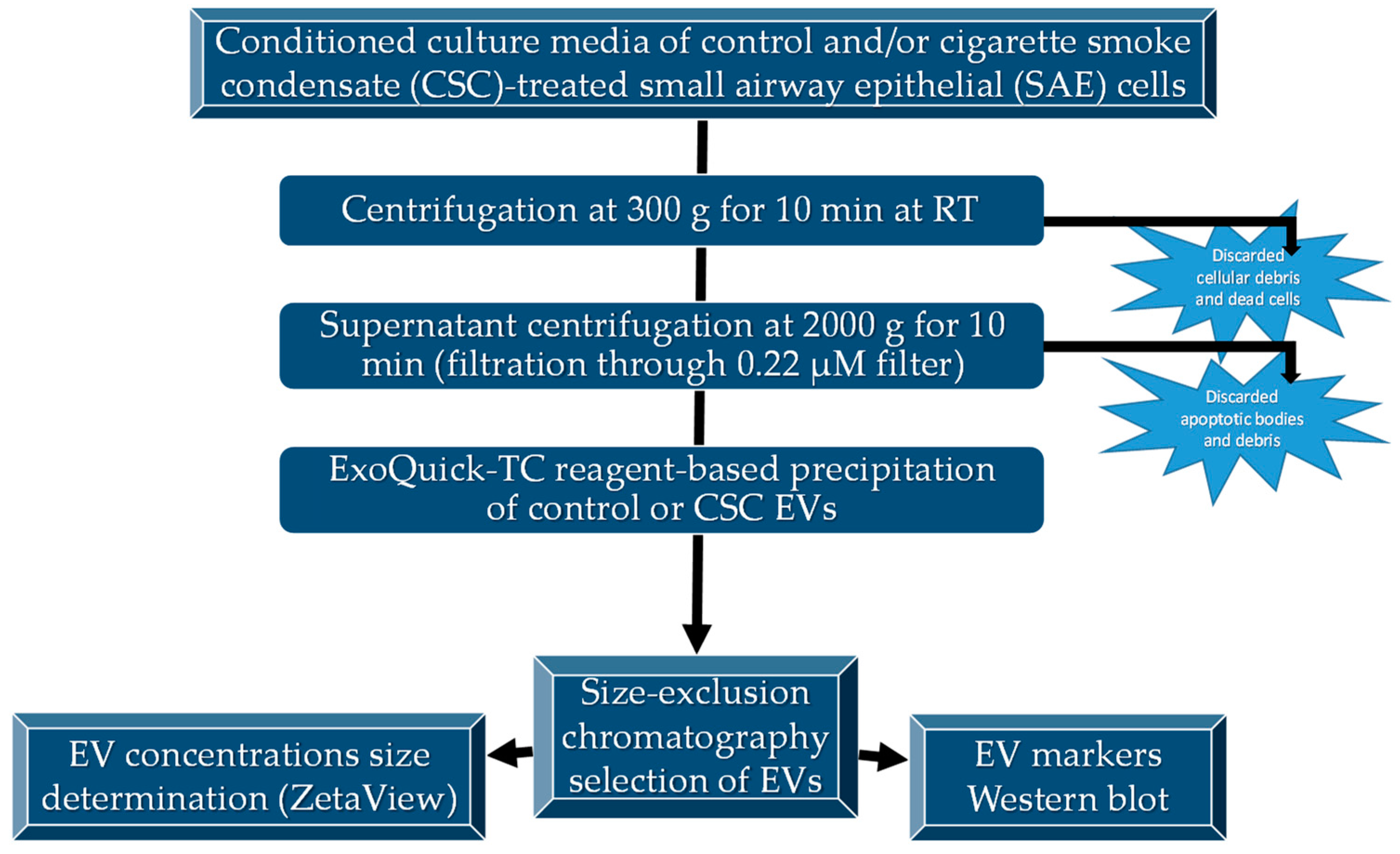 Cells 08 01652 g001 Cells 08 01652 g001
