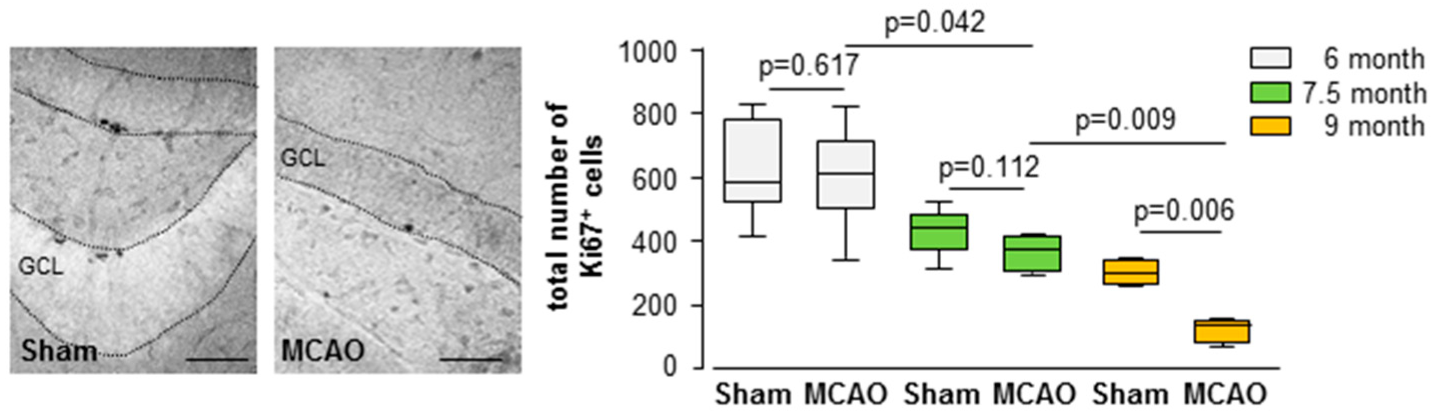 Cells 08 01654 g003 Cells 08 01654 g003