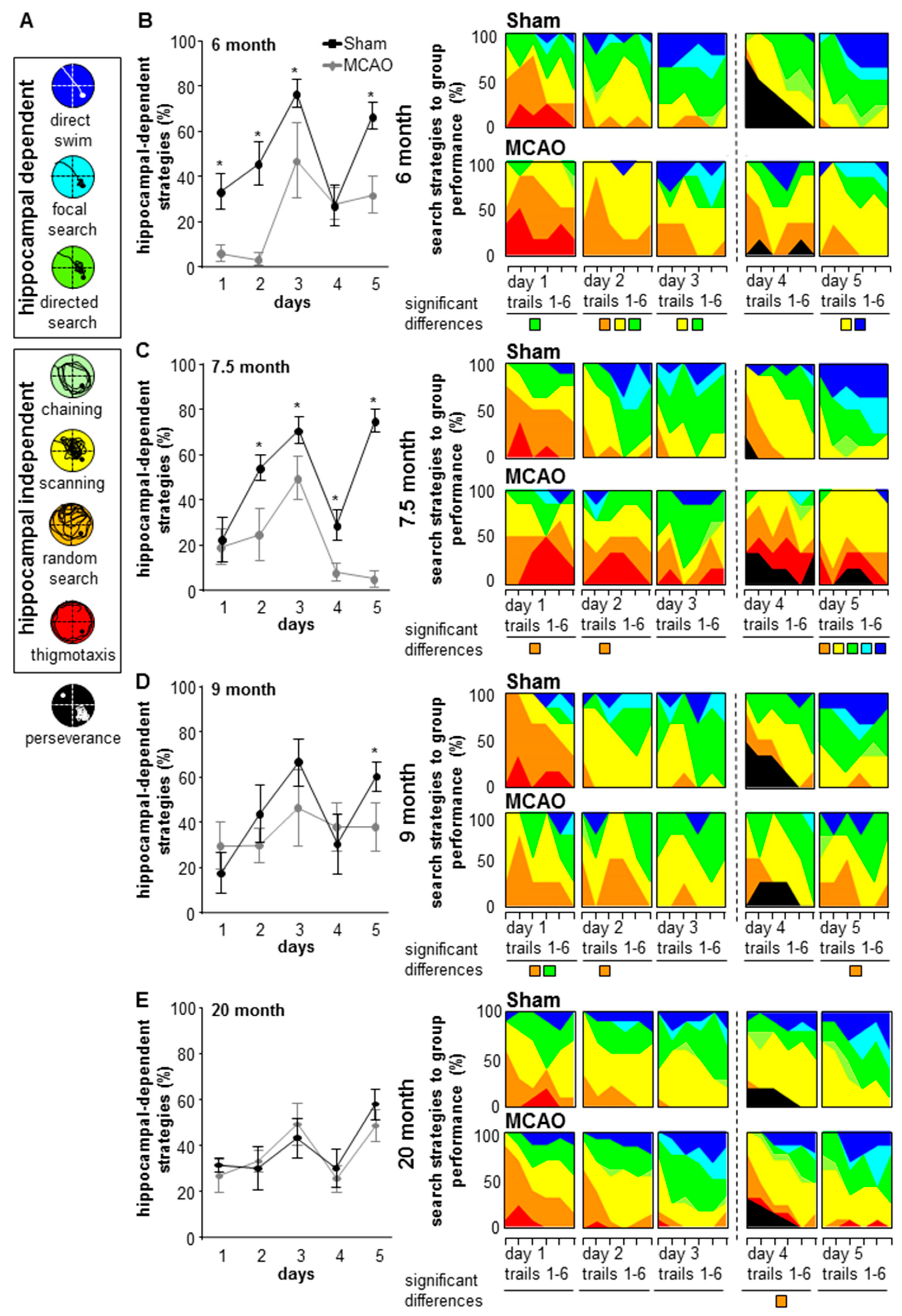 Cells 08 01654 g010 Cells 08 01654 g010