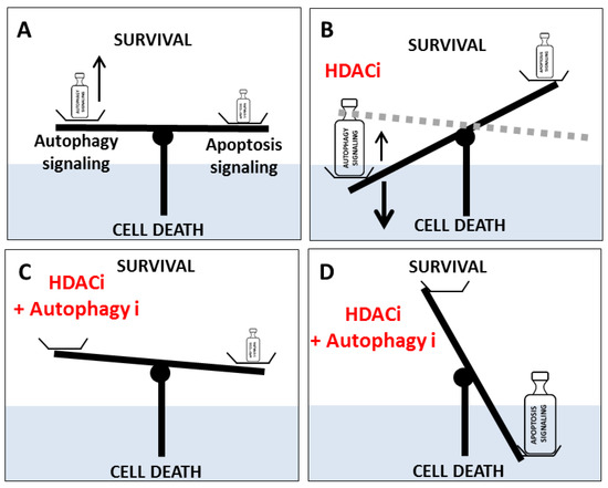 Epigenetic Control of Autophagy in Cancer Cells: A Key