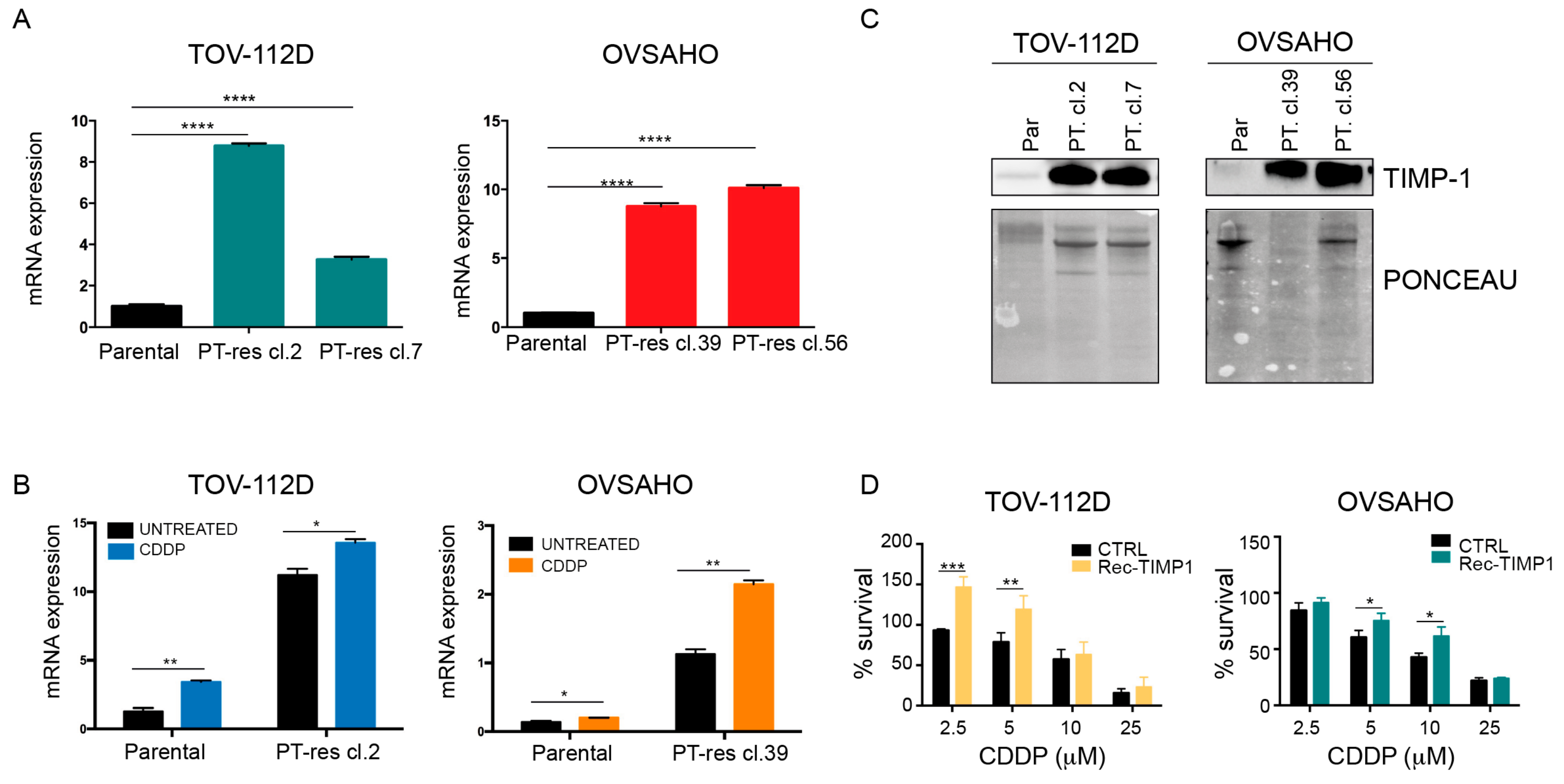 Cells 09 00006 g002 Cells 09 00006 g002