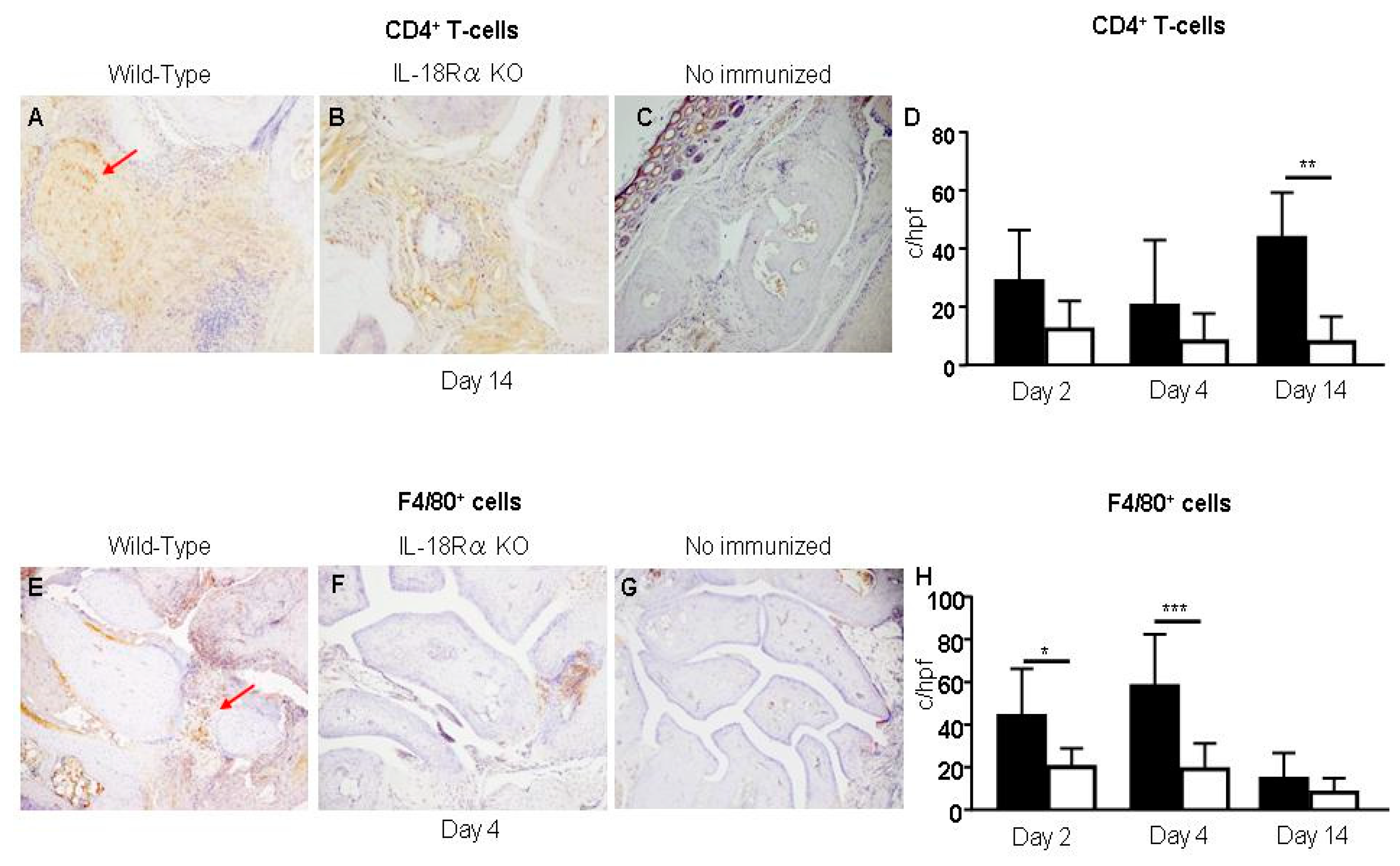 Cells 09 00011 g005 Cells 09 00011 g005