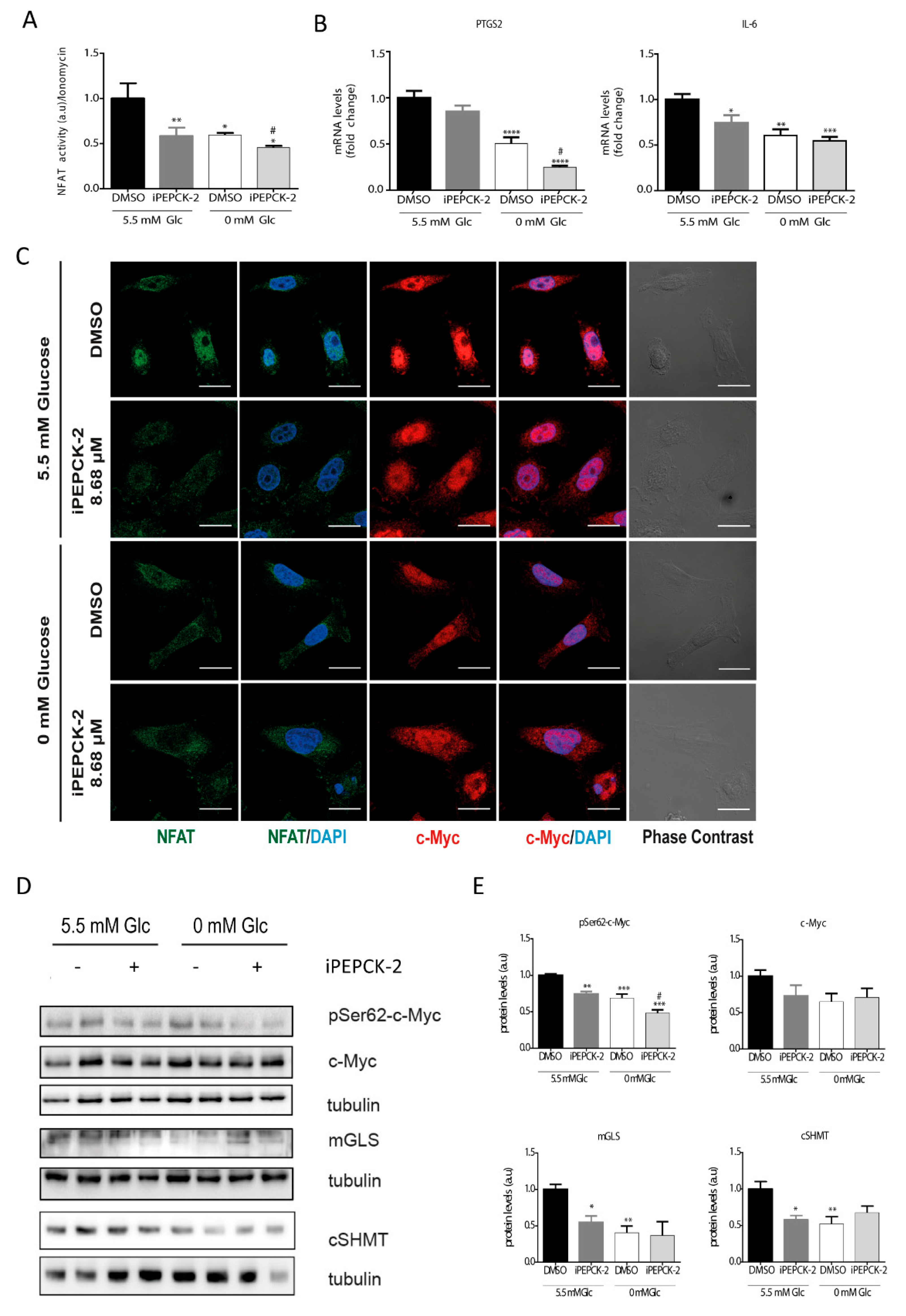 Cells 09 00018 g004 Cells 09 00018 g004