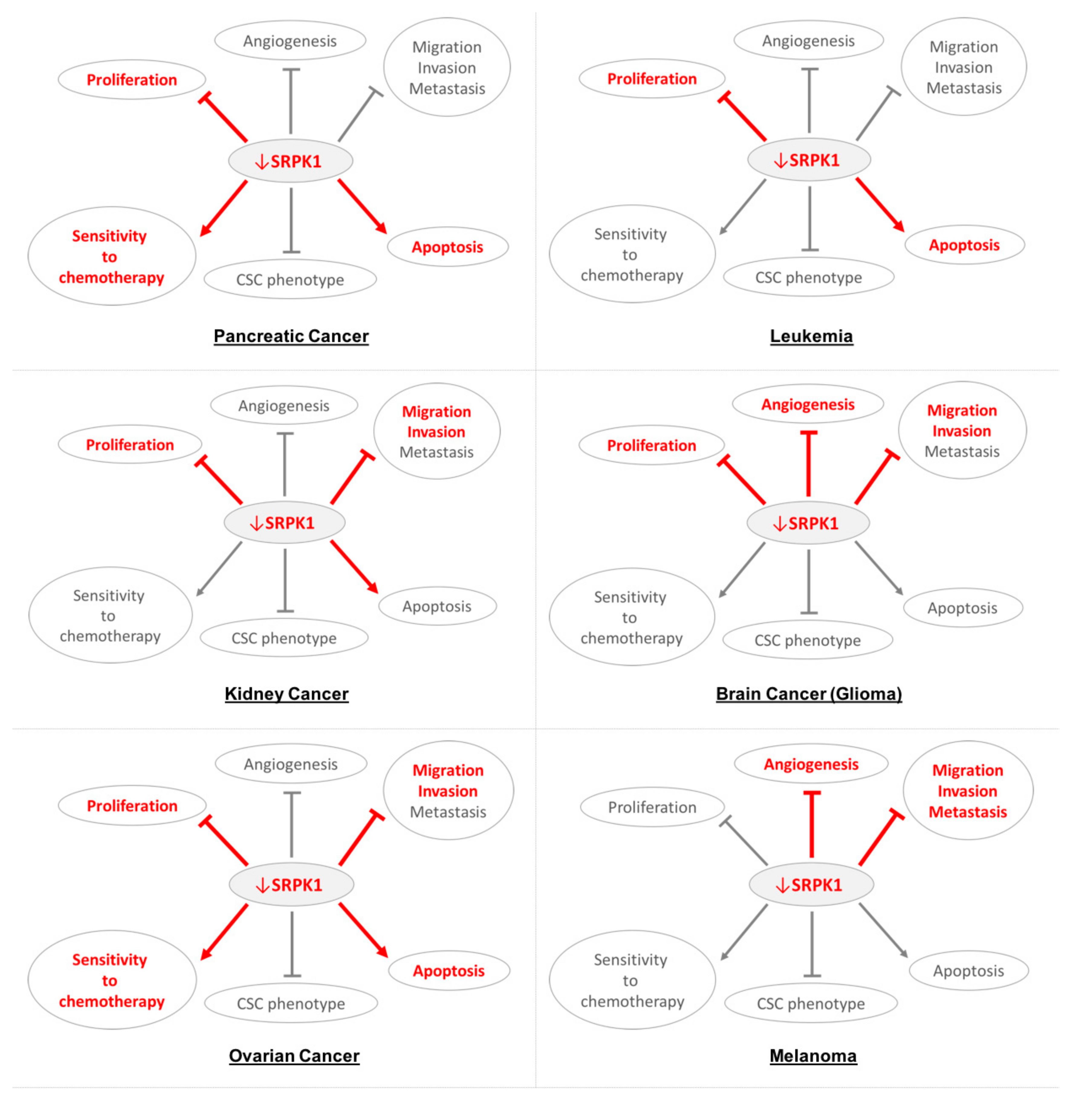 Cells 09 00019 g001b