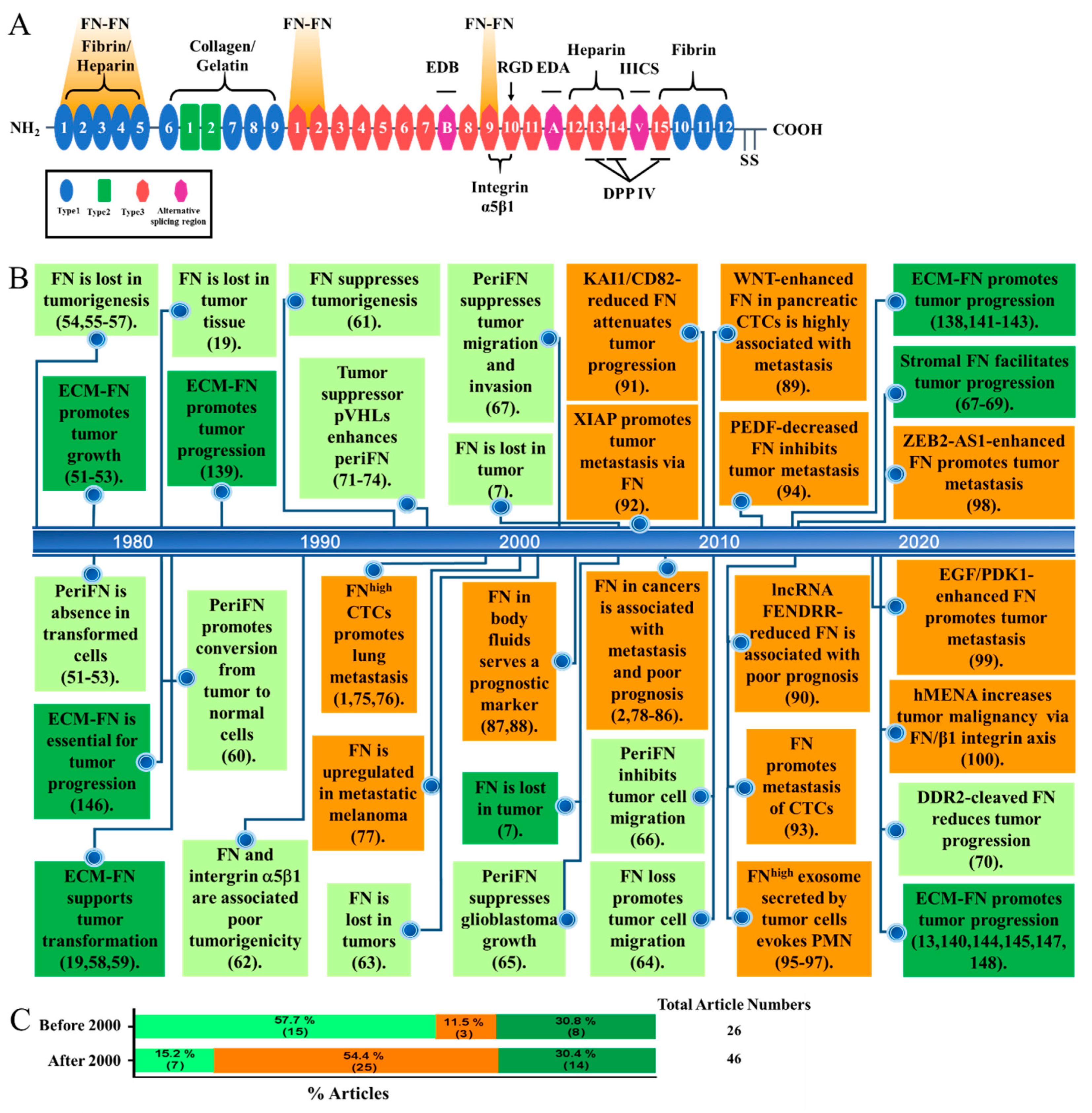 Cells Free Full Text Fibronectin In Cancer Friend Or Foe Html