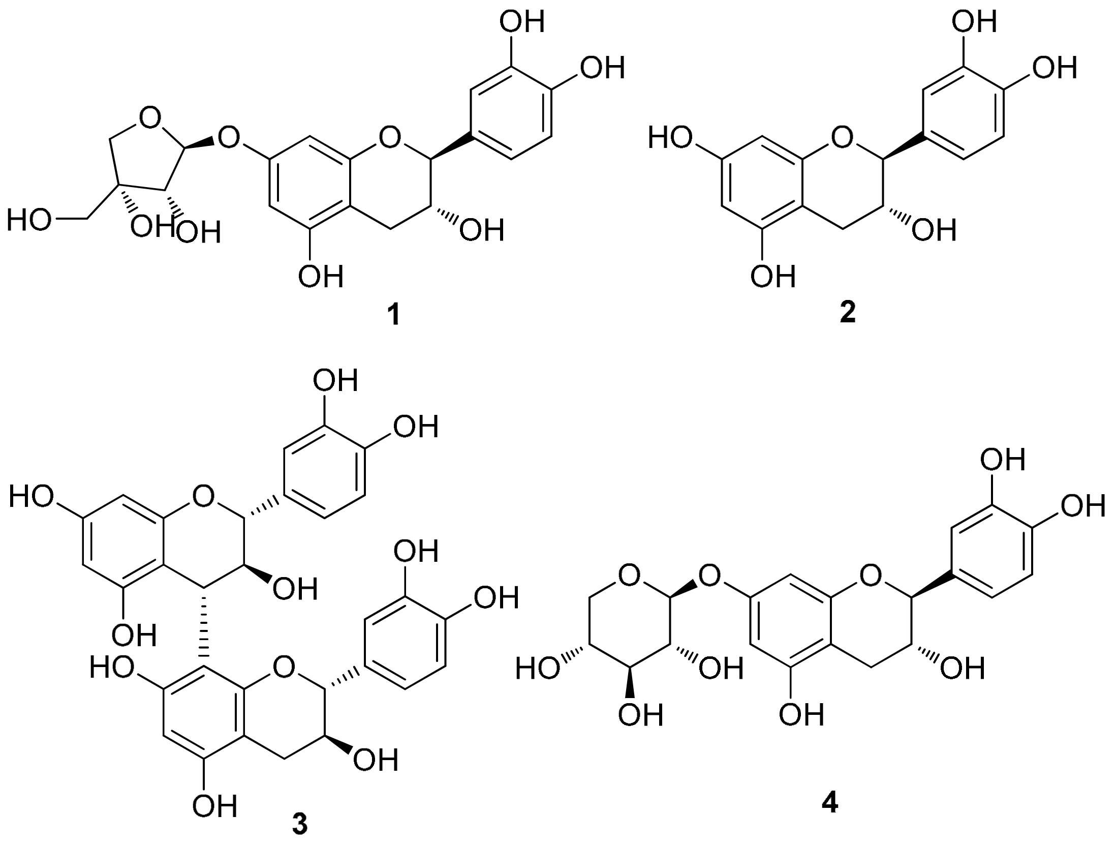 Cells 09 00030 g002 Cells 09 00030 g002