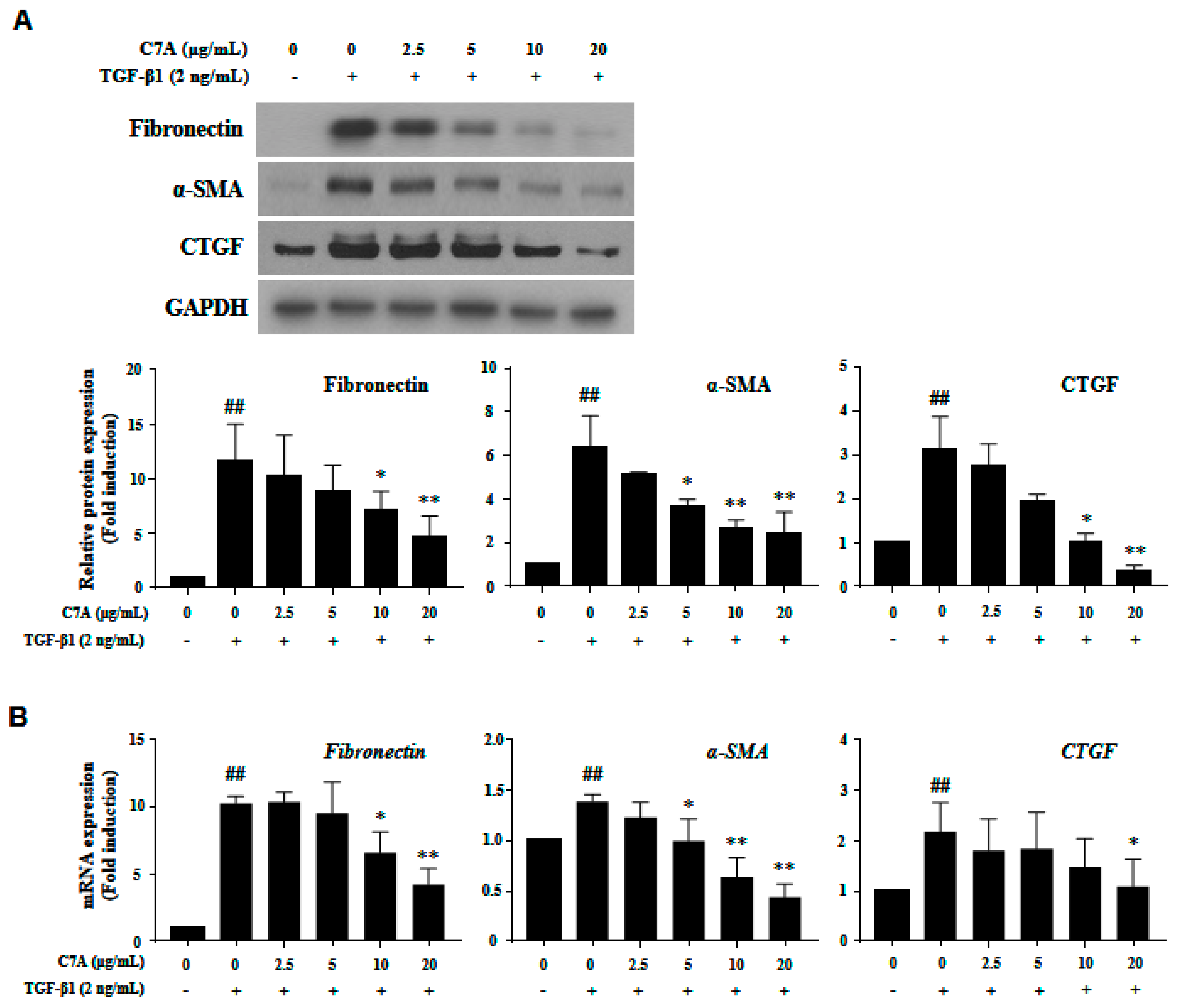 Cells 09 00030 g004 Cells 09 00030 g004