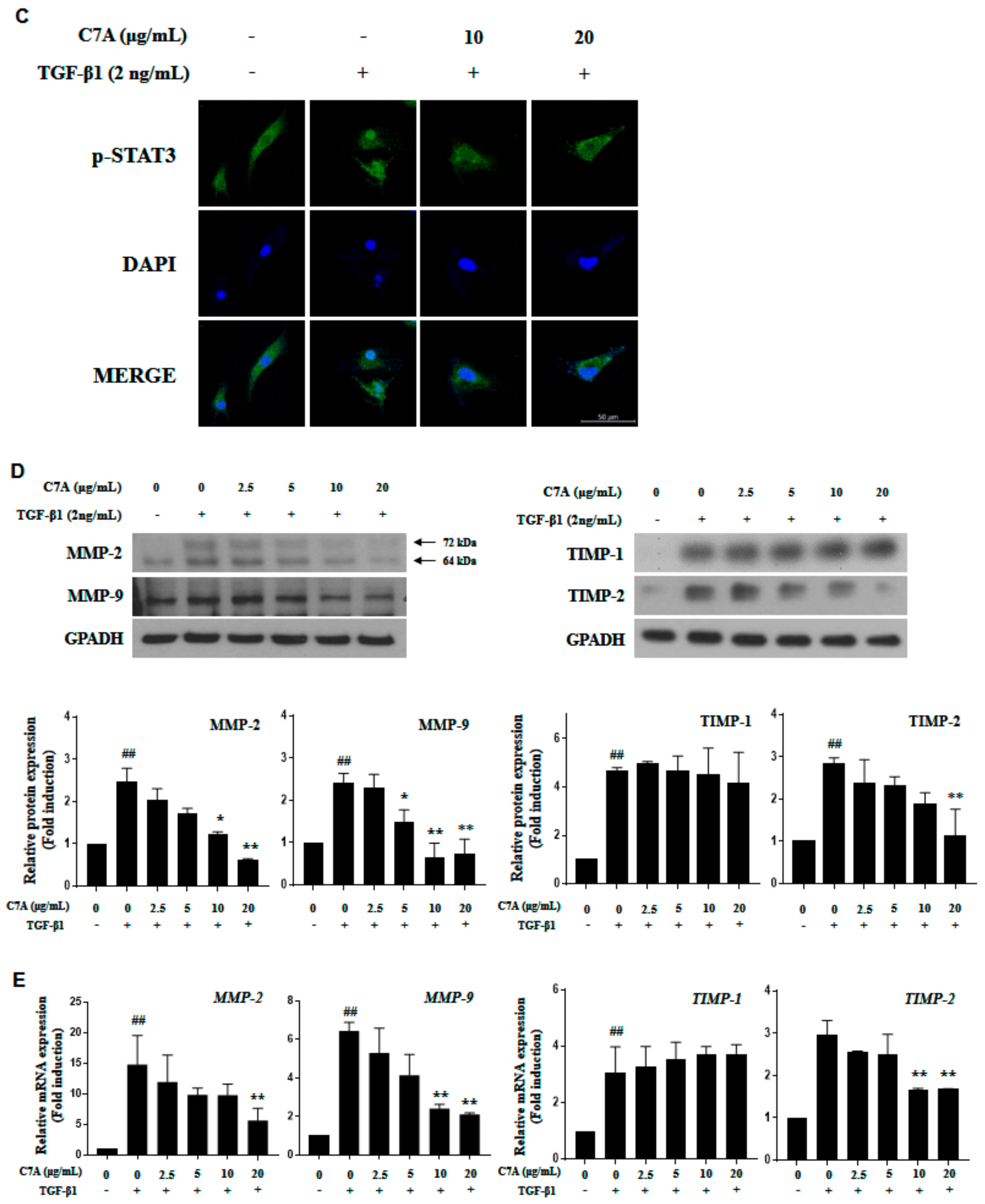 Cells 09 00030 g005b Cells 09 00030 g005b