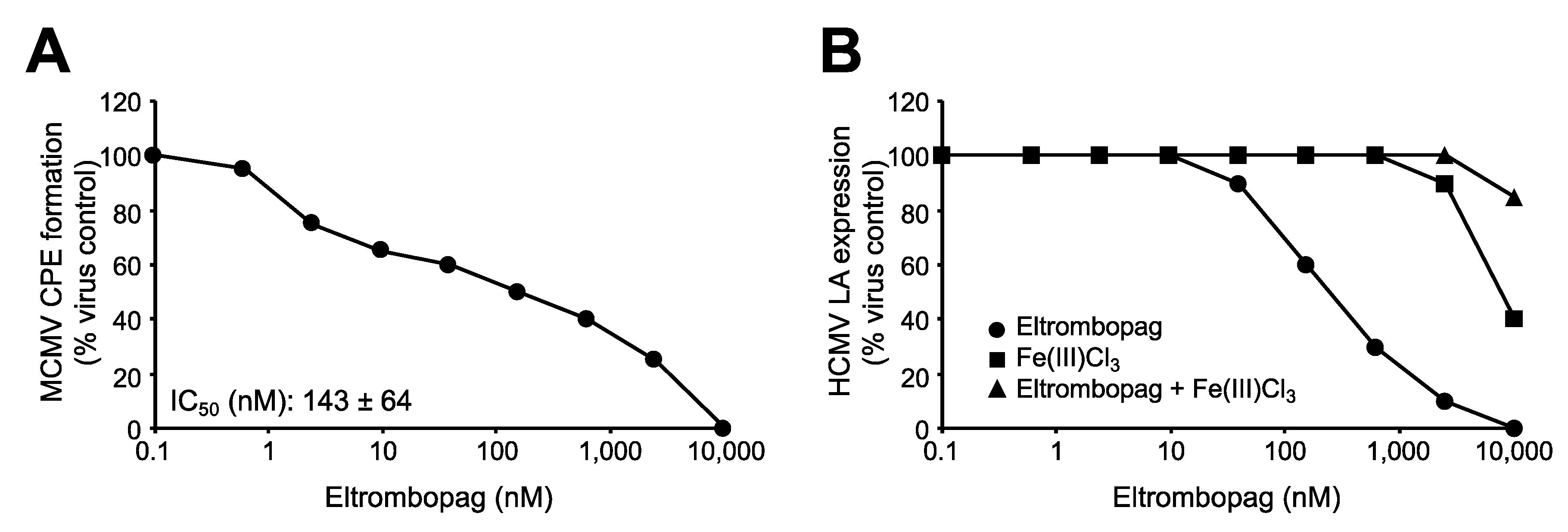 Cells 09 00031 g003 Cells 09 00031 g003
