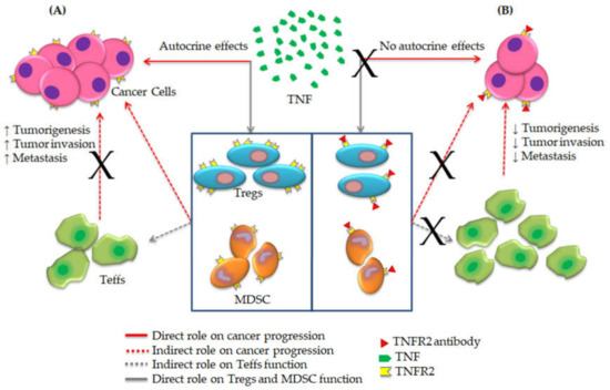 Synergistic Effects of Nanomedicine Targeting TNFR2 and DNA