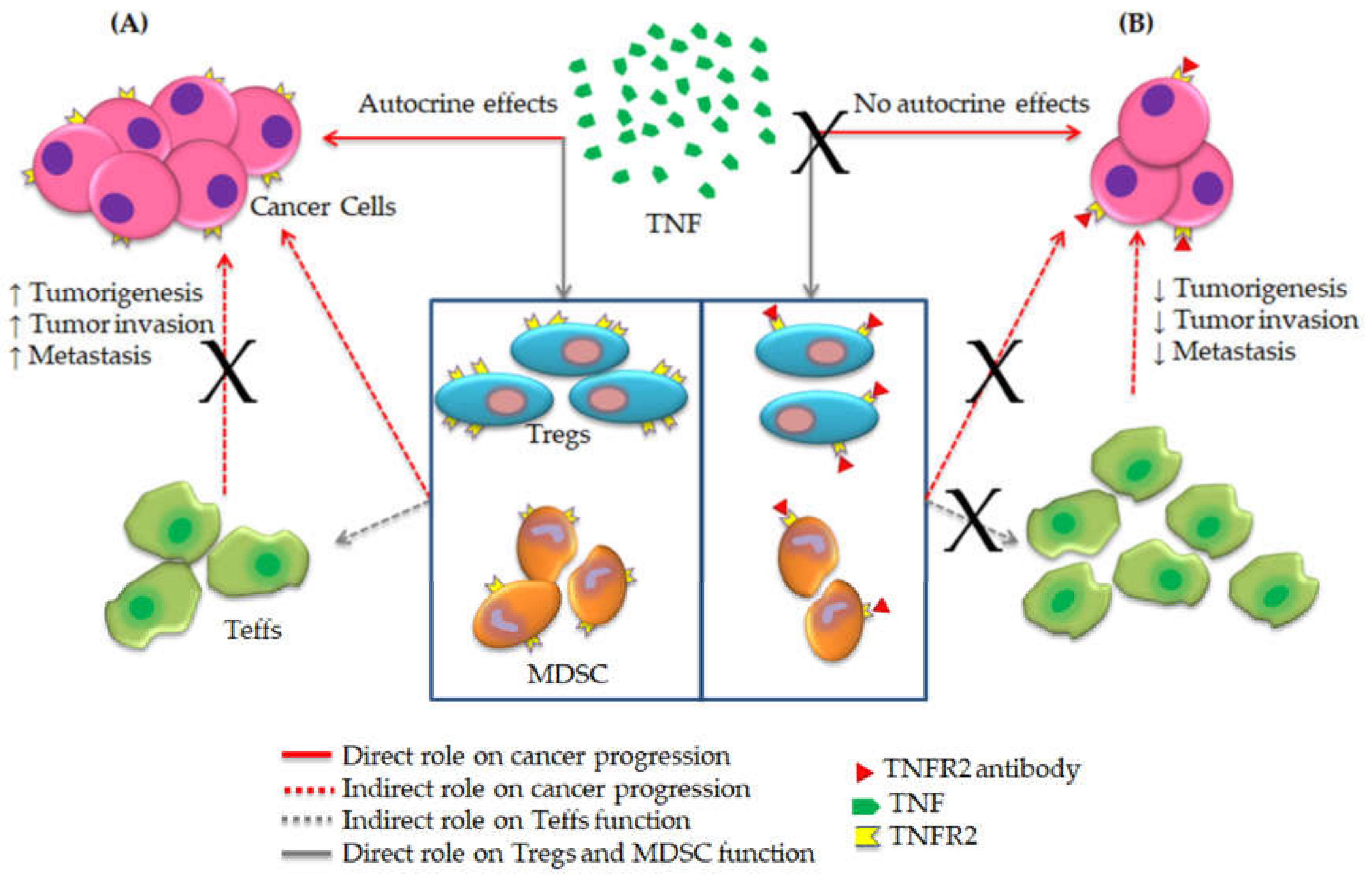 100%正規品 Targeting Nanomedicine of Effects Synergistic TNFR2 DNA and その他