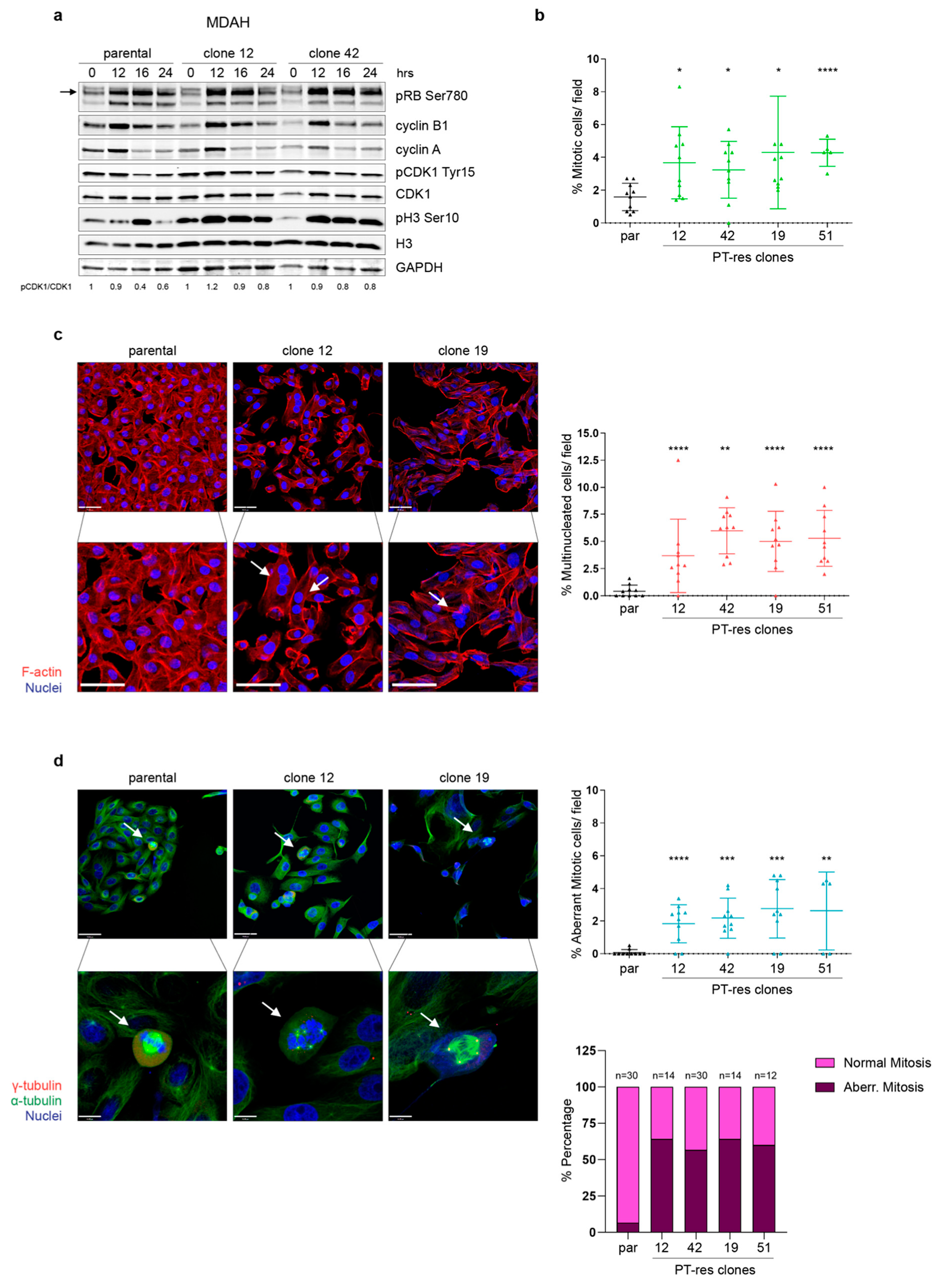 Cells 09 00036 g002 Cells 09 00036 g002