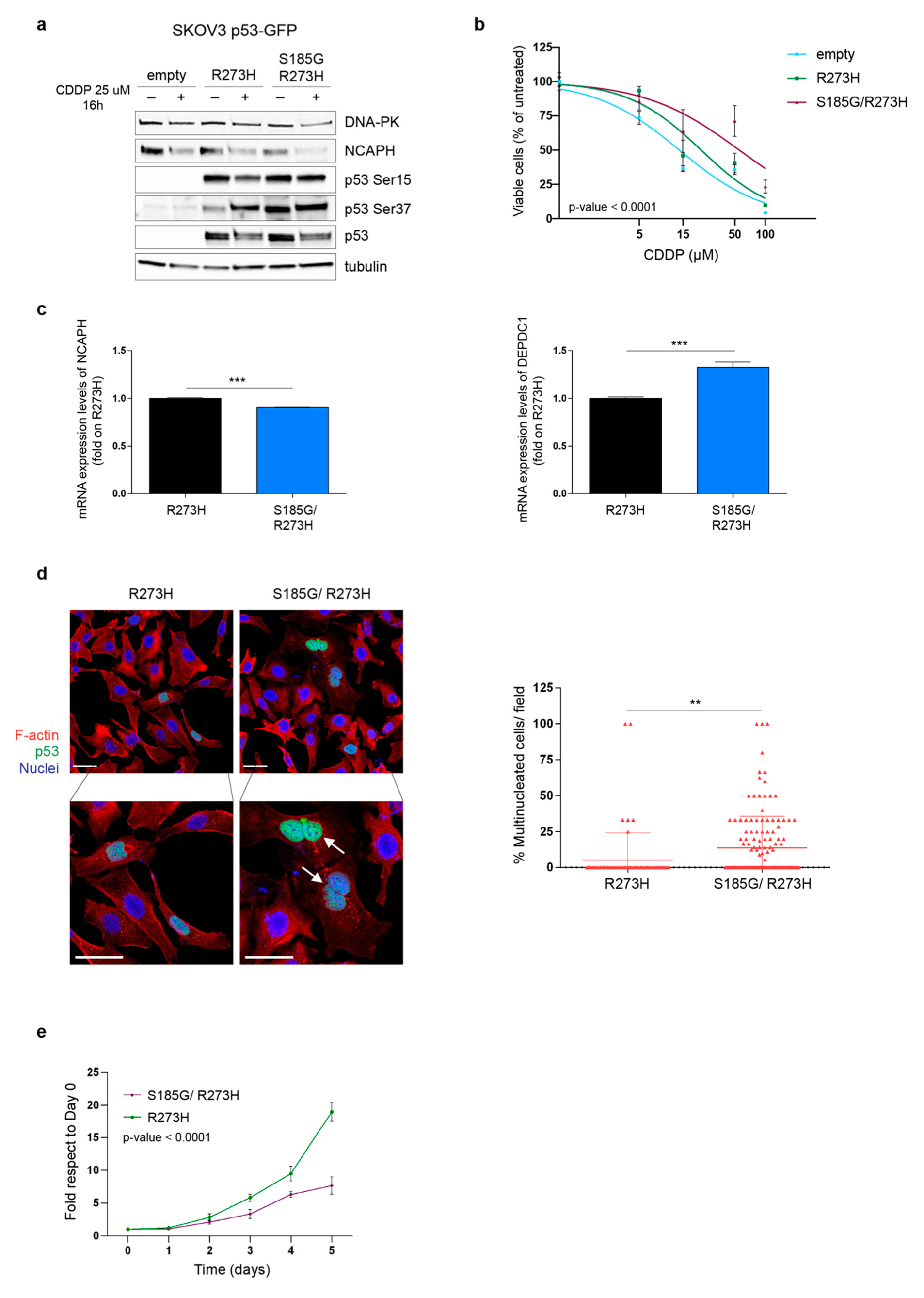 Cells 09 00036 g005 Cells 09 00036 g005