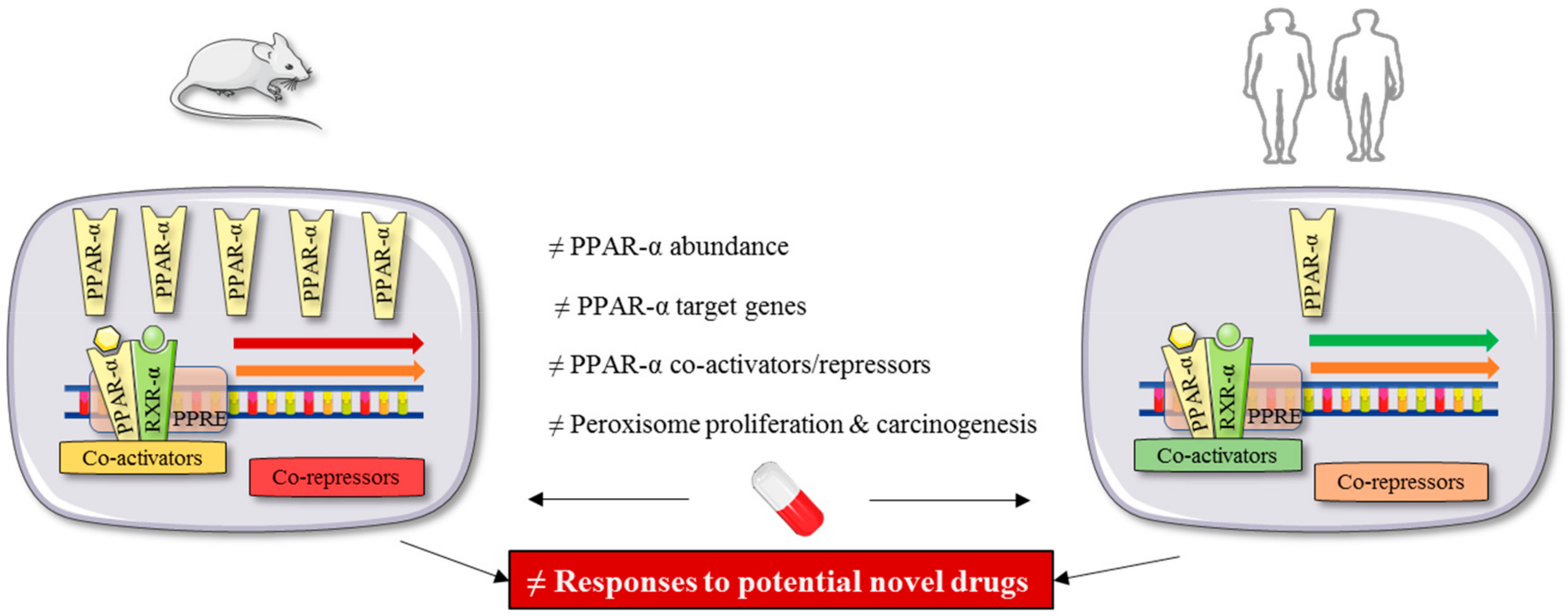Cells 09 00037 g002 Cells 09 00037 g002