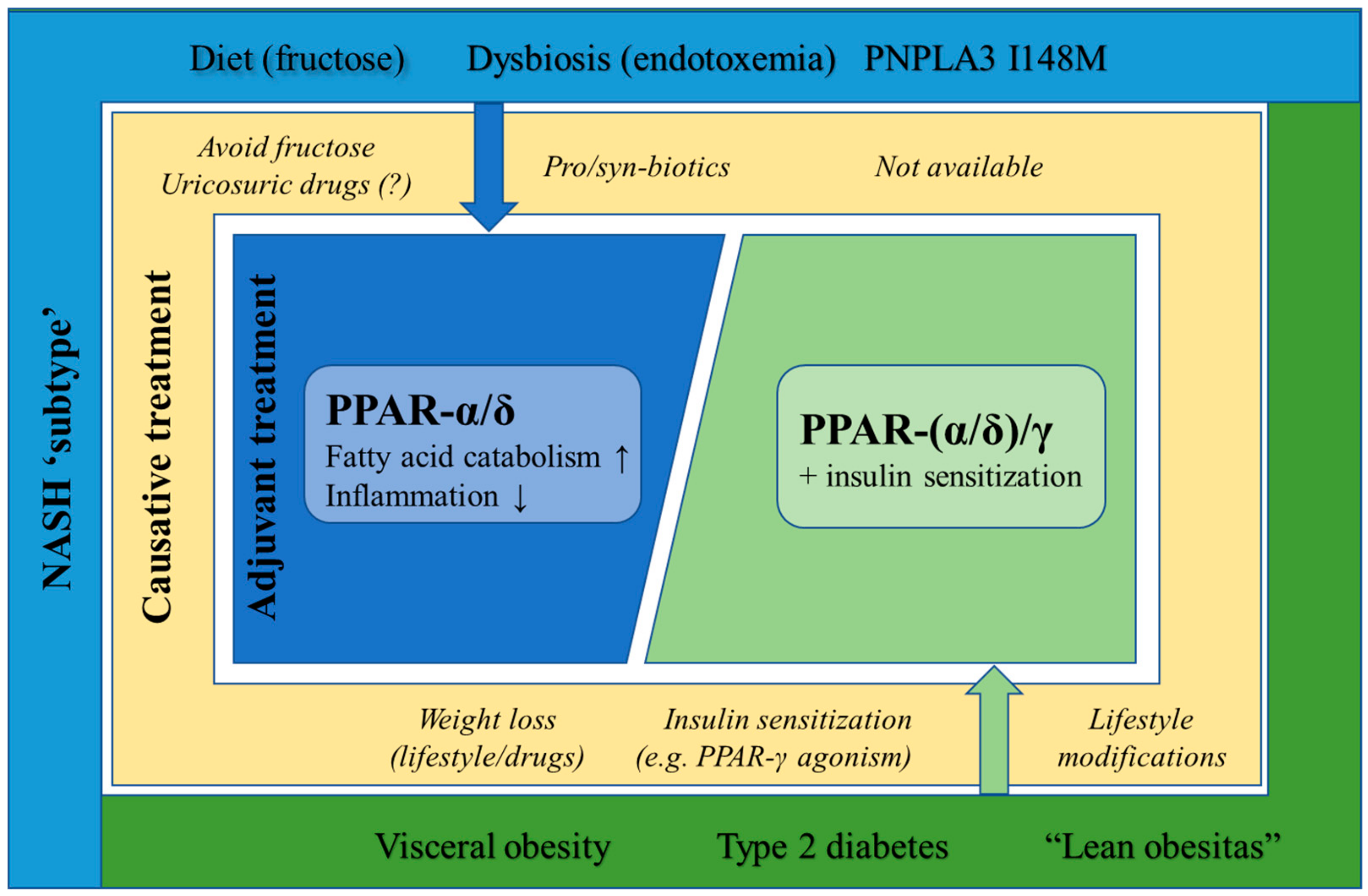 Cells 09 00037 g004 Cells 09 00037 g004