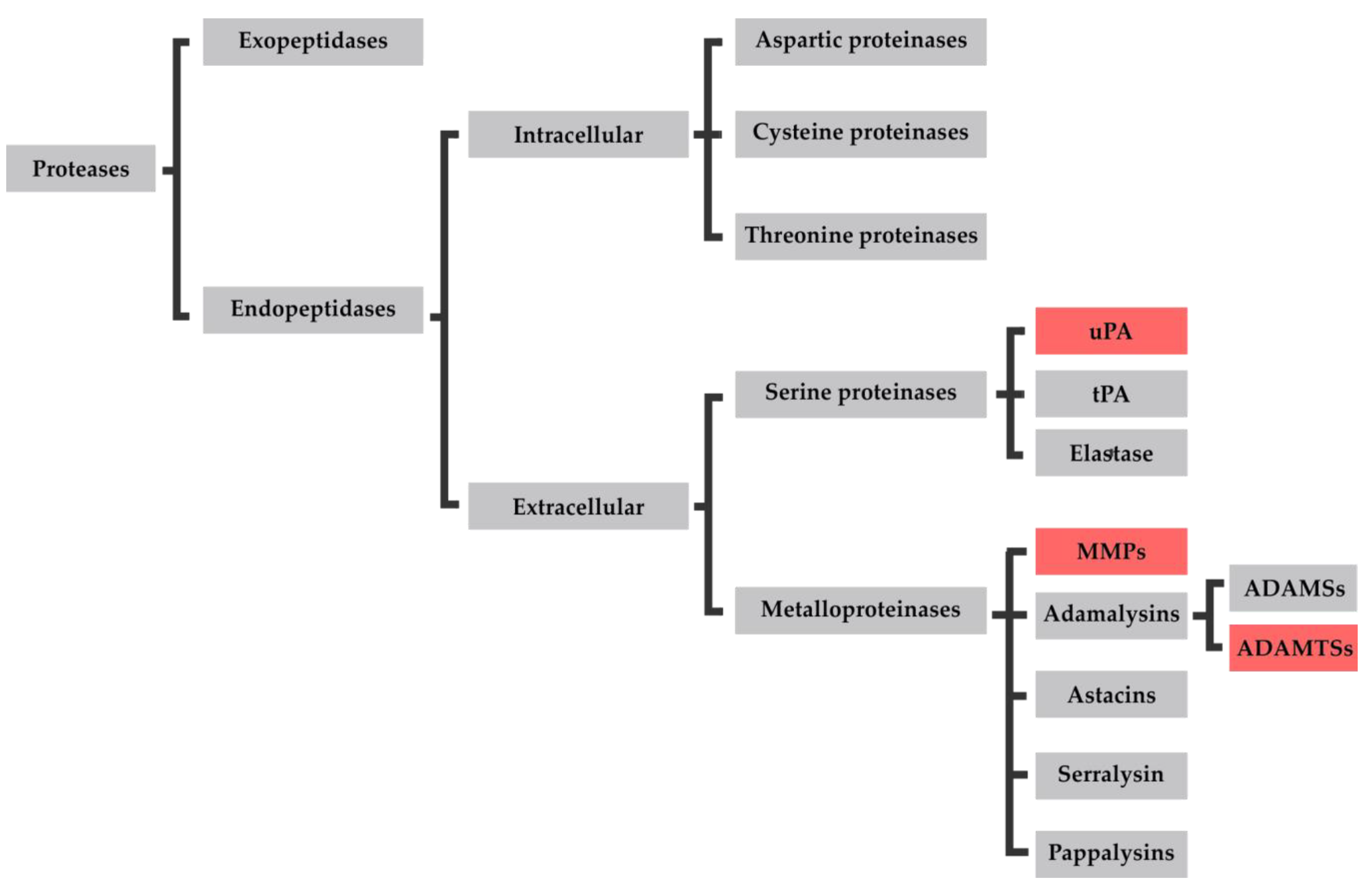 Cells 09 00040 sch001