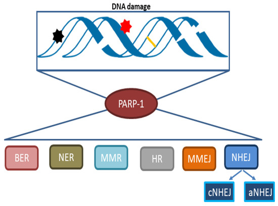 www.mdpi.com