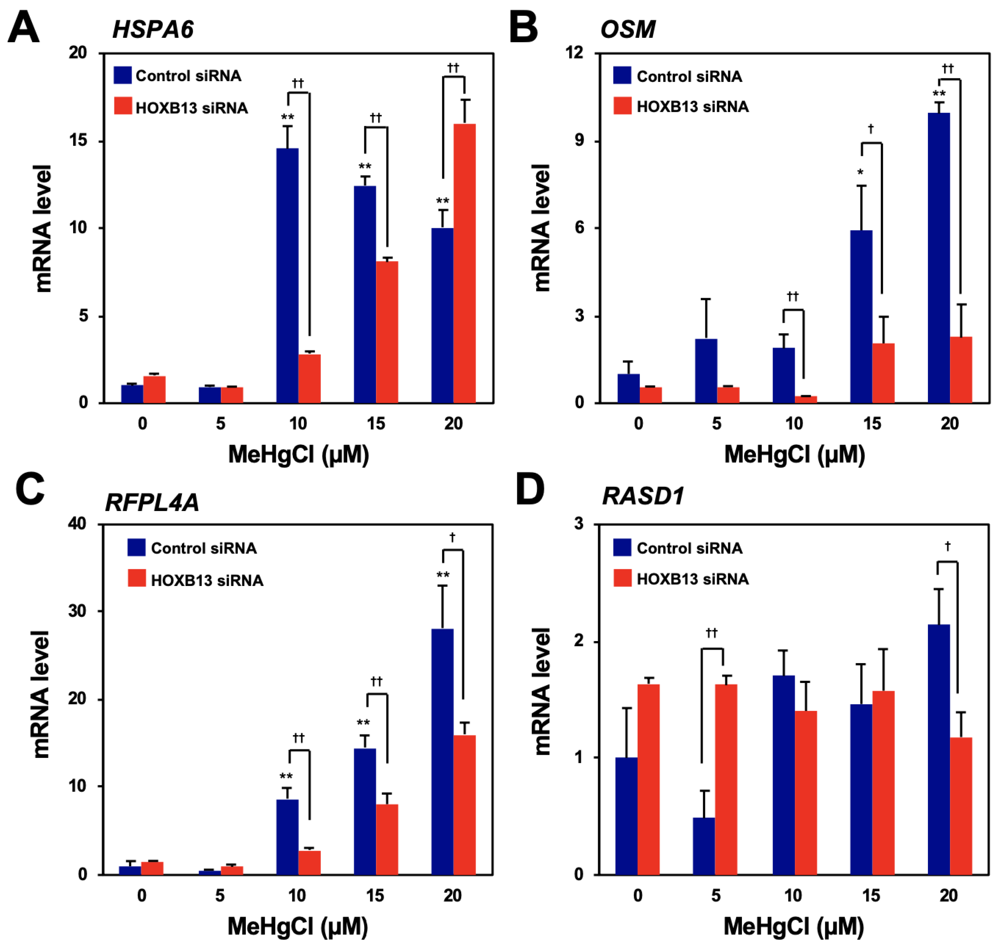 Cells 09 00045 g001 Cells 09 00045 g001