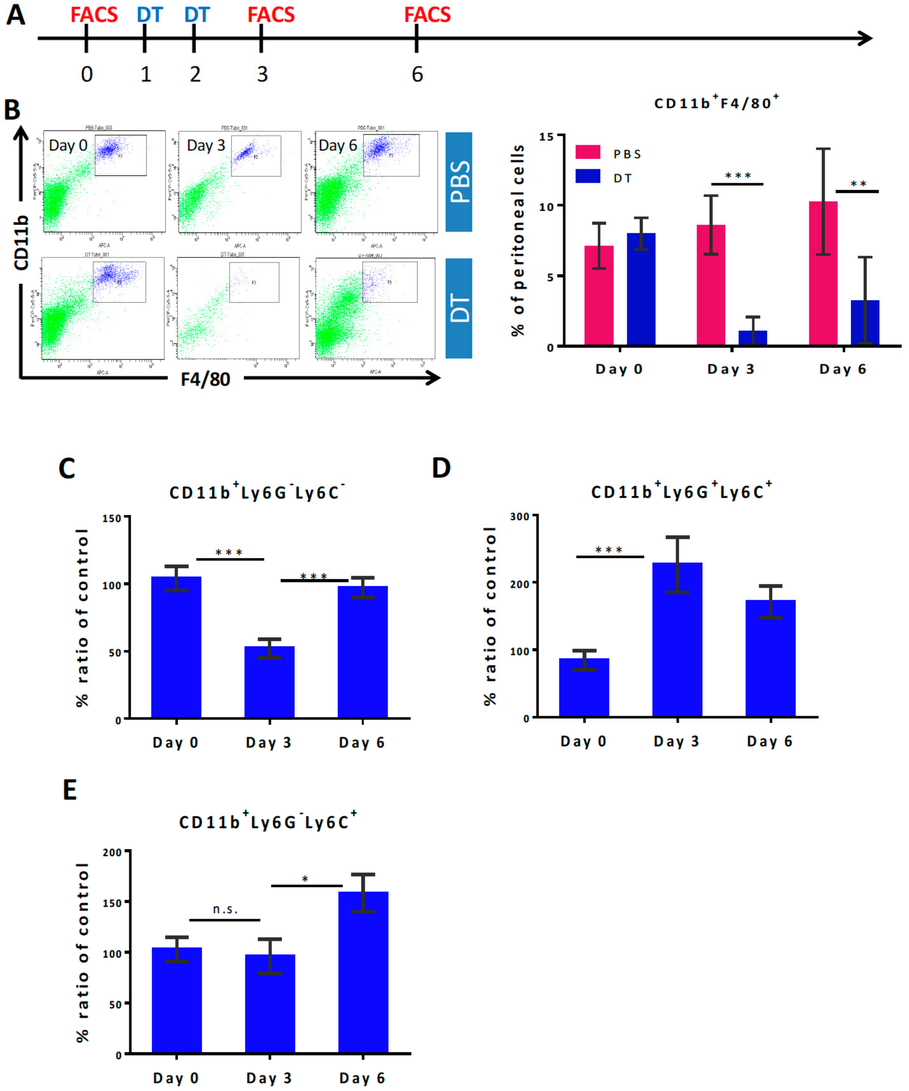 Cells 09 00051 g001 Cells 09 00051 g001
