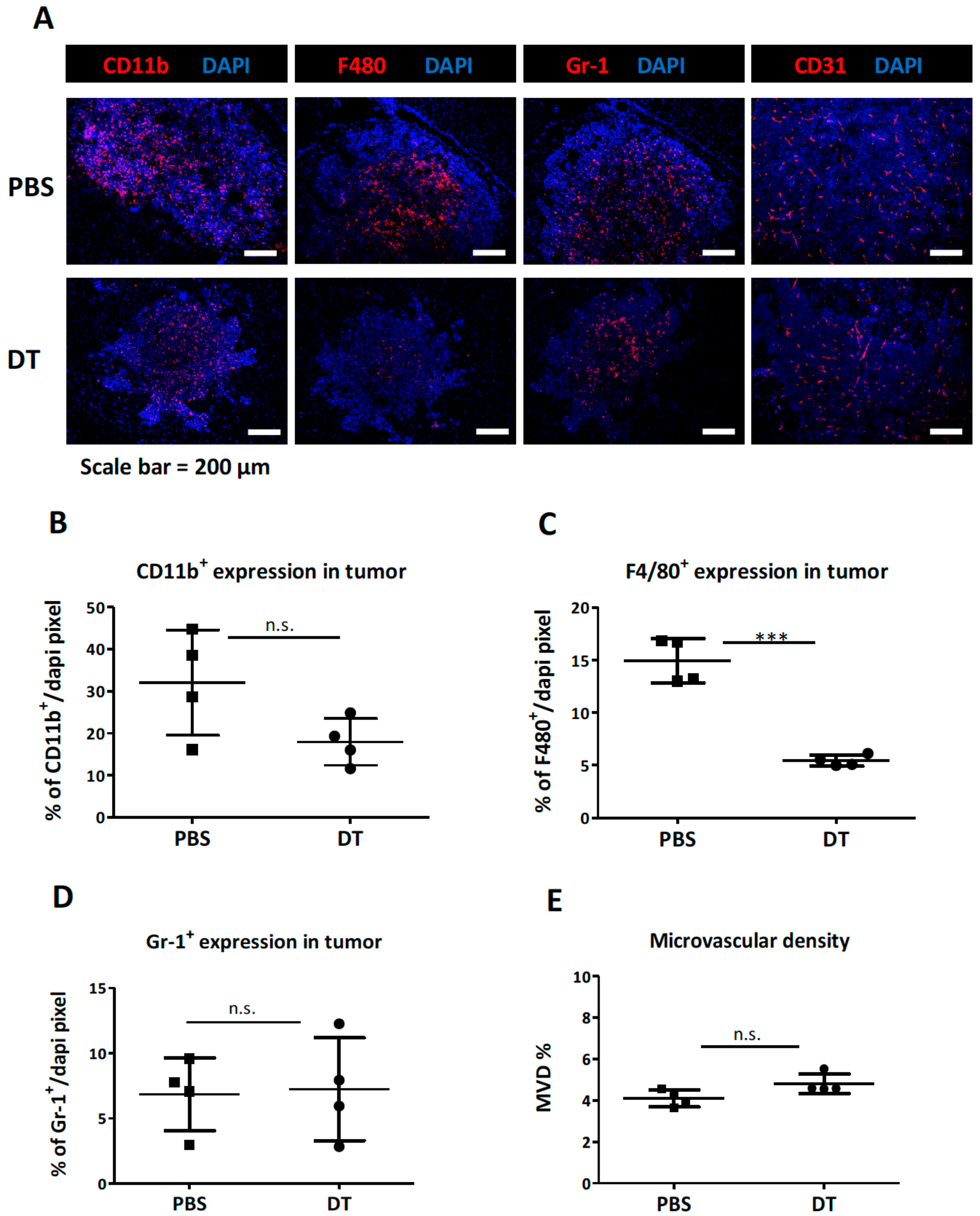 Cells 09 00051 g003 Cells 09 00051 g003