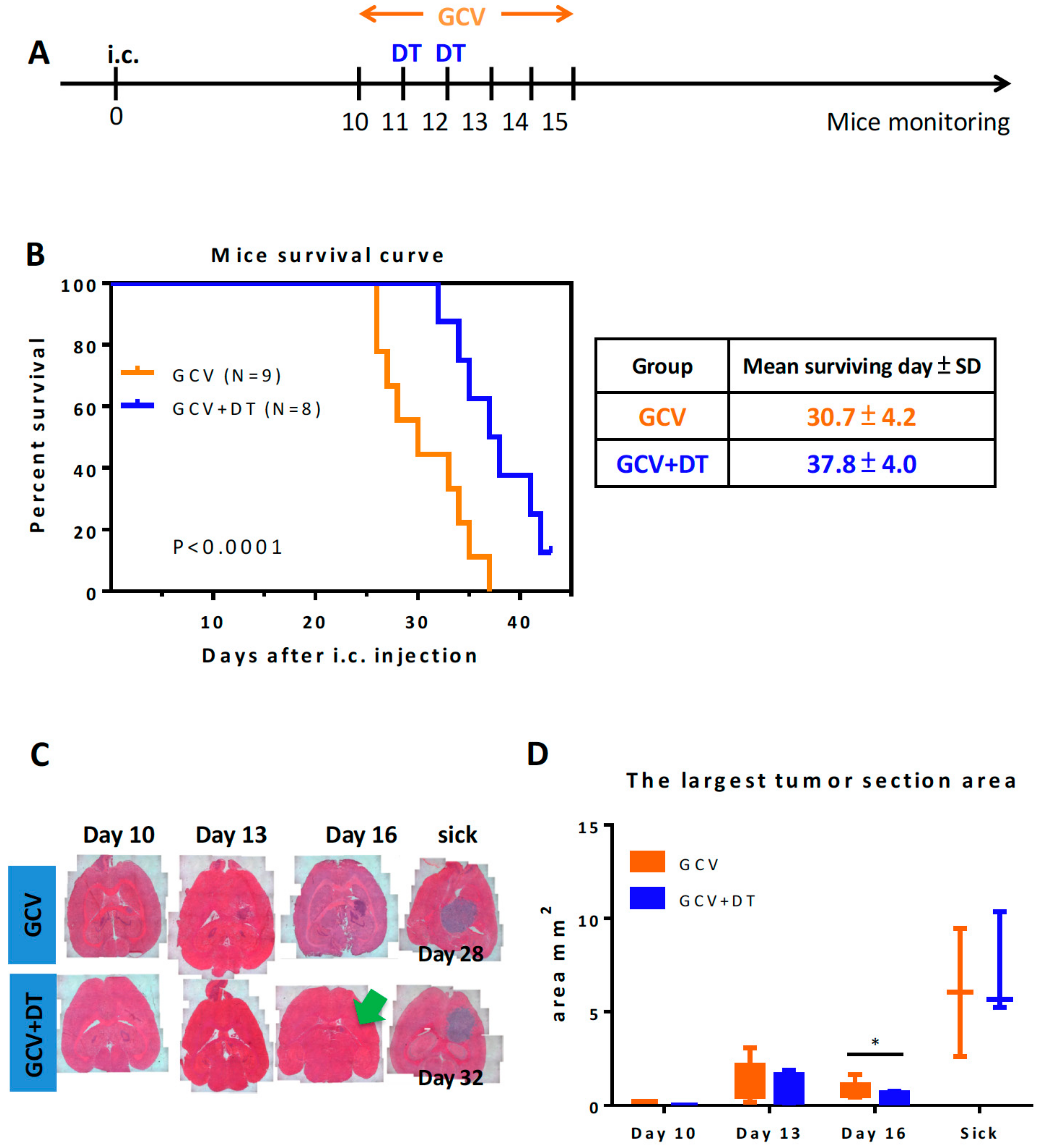 Cells 09 00051 g004 Cells 09 00051 g004