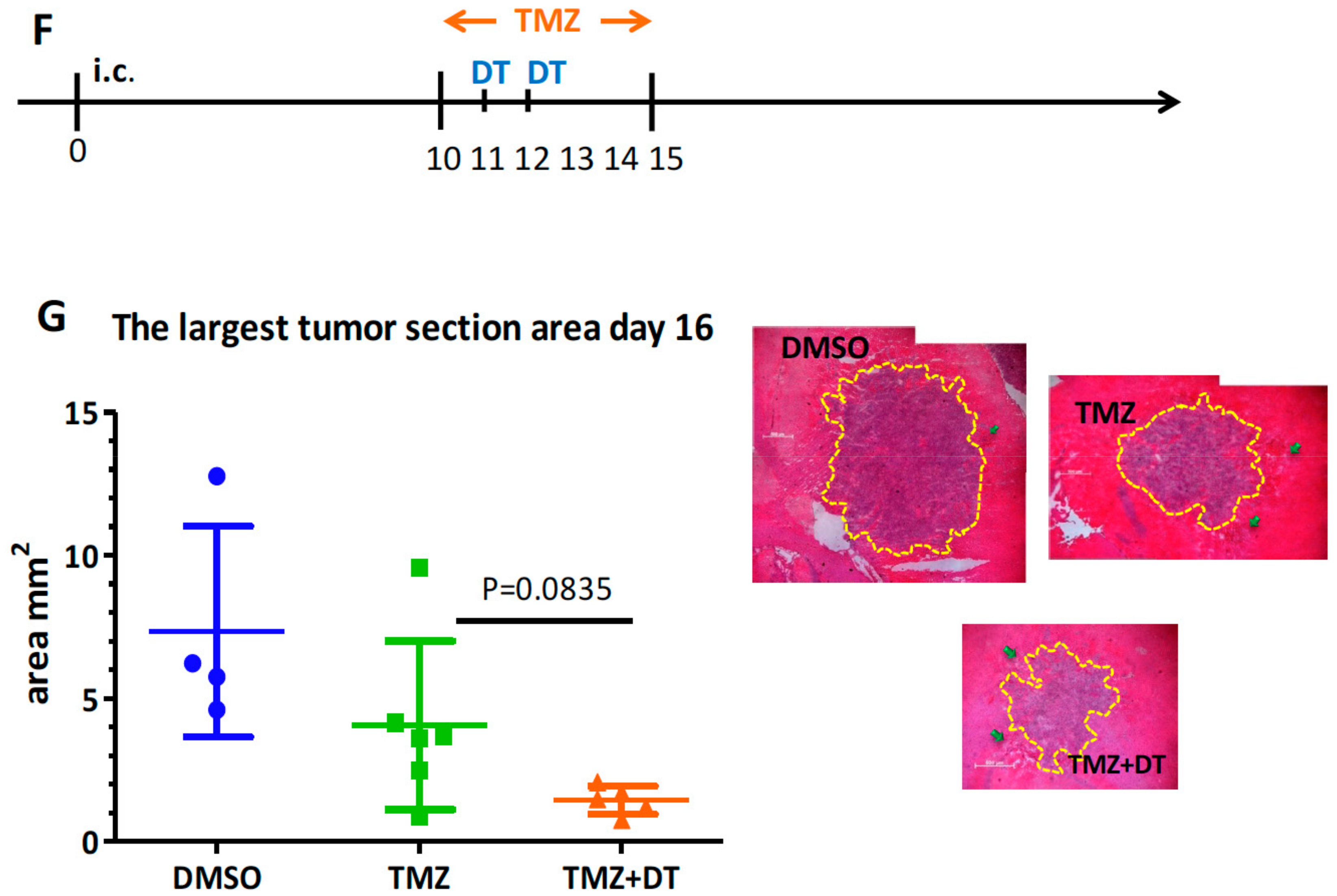 Cells 09 00051 g005b Cells 09 00051 g005b