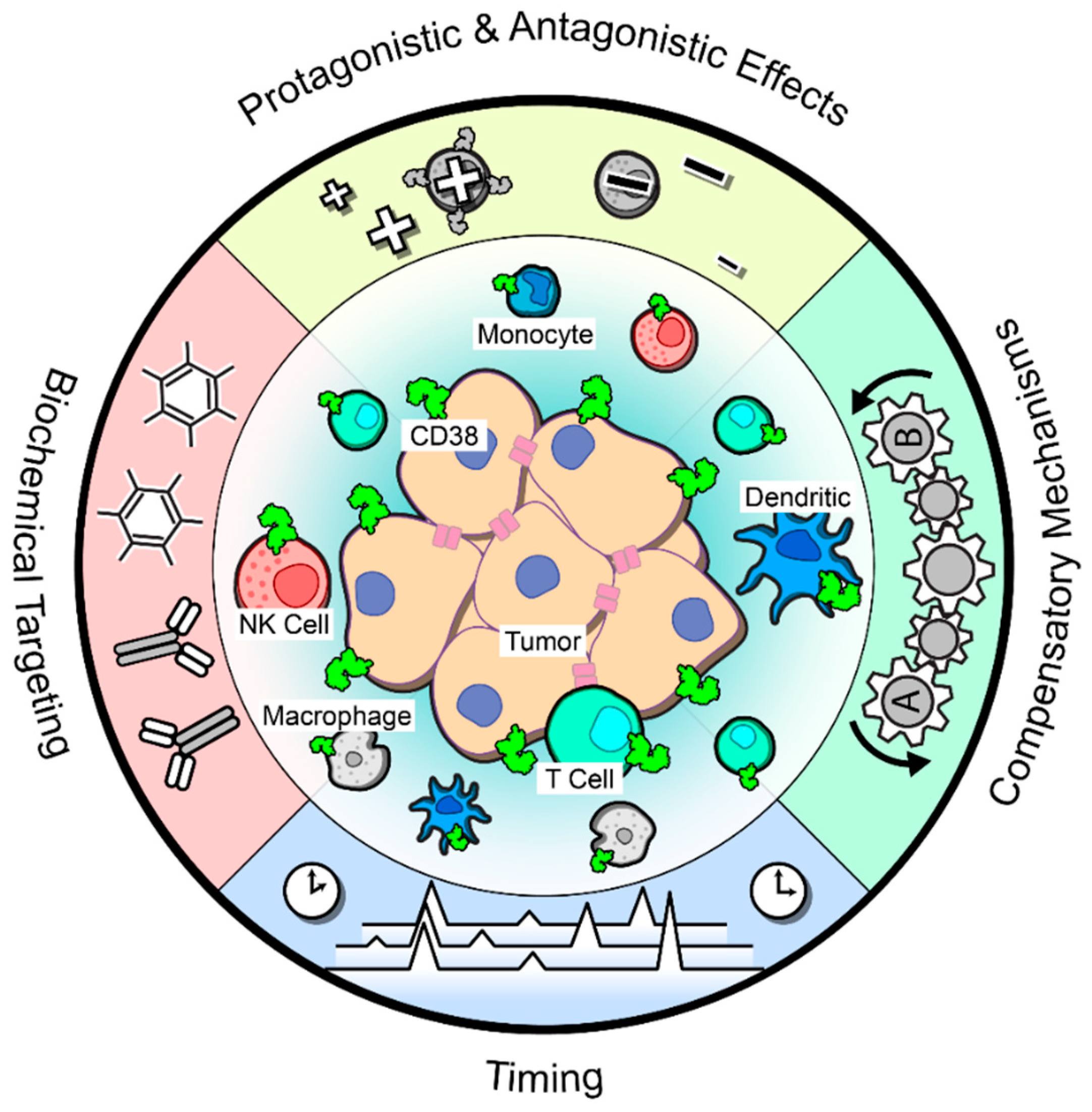The Good, the Bad and the Unknown of CD38 in the Metabolic