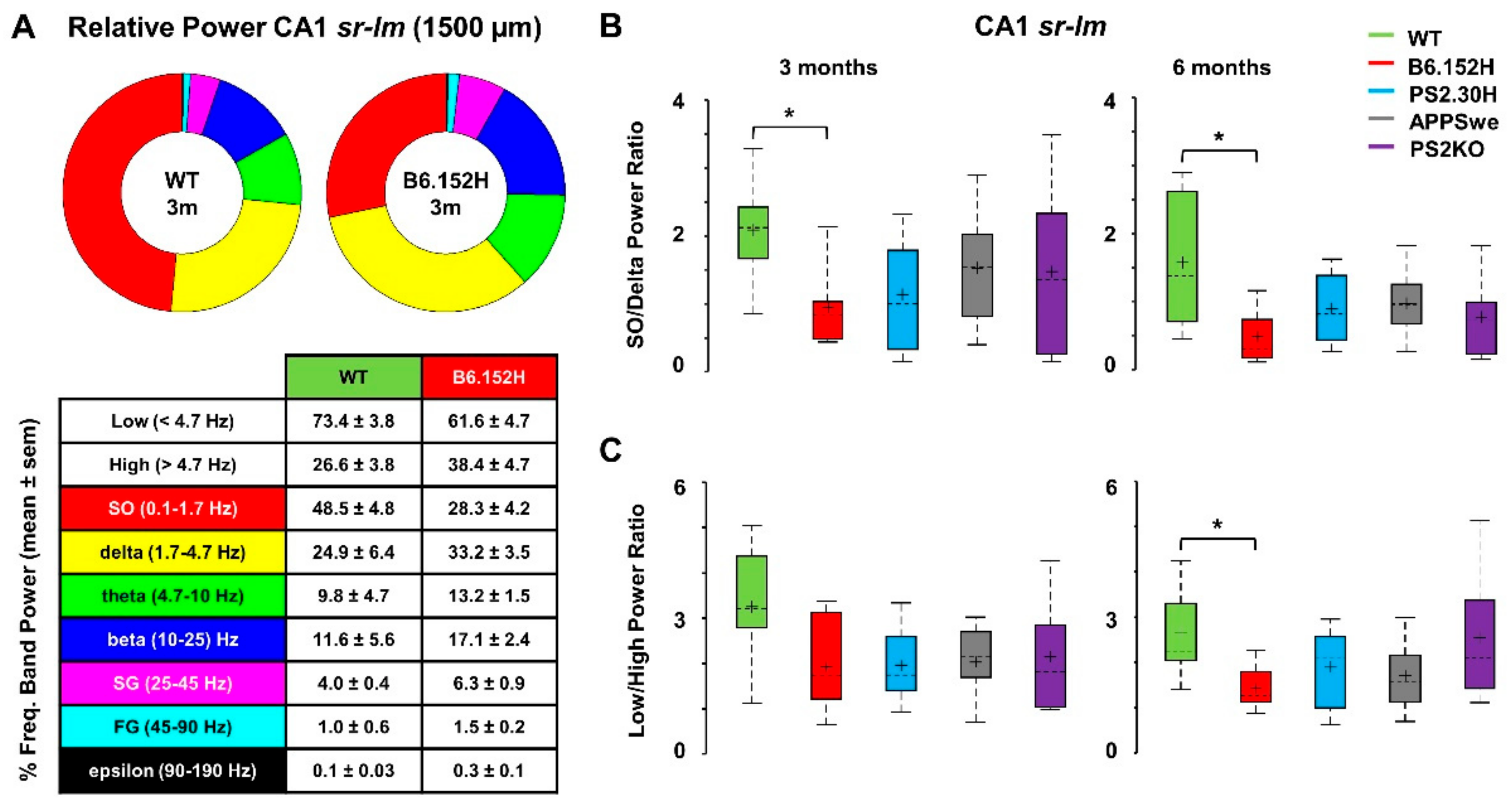 Cells 09 00054 g003 Cells 09 00054 g003