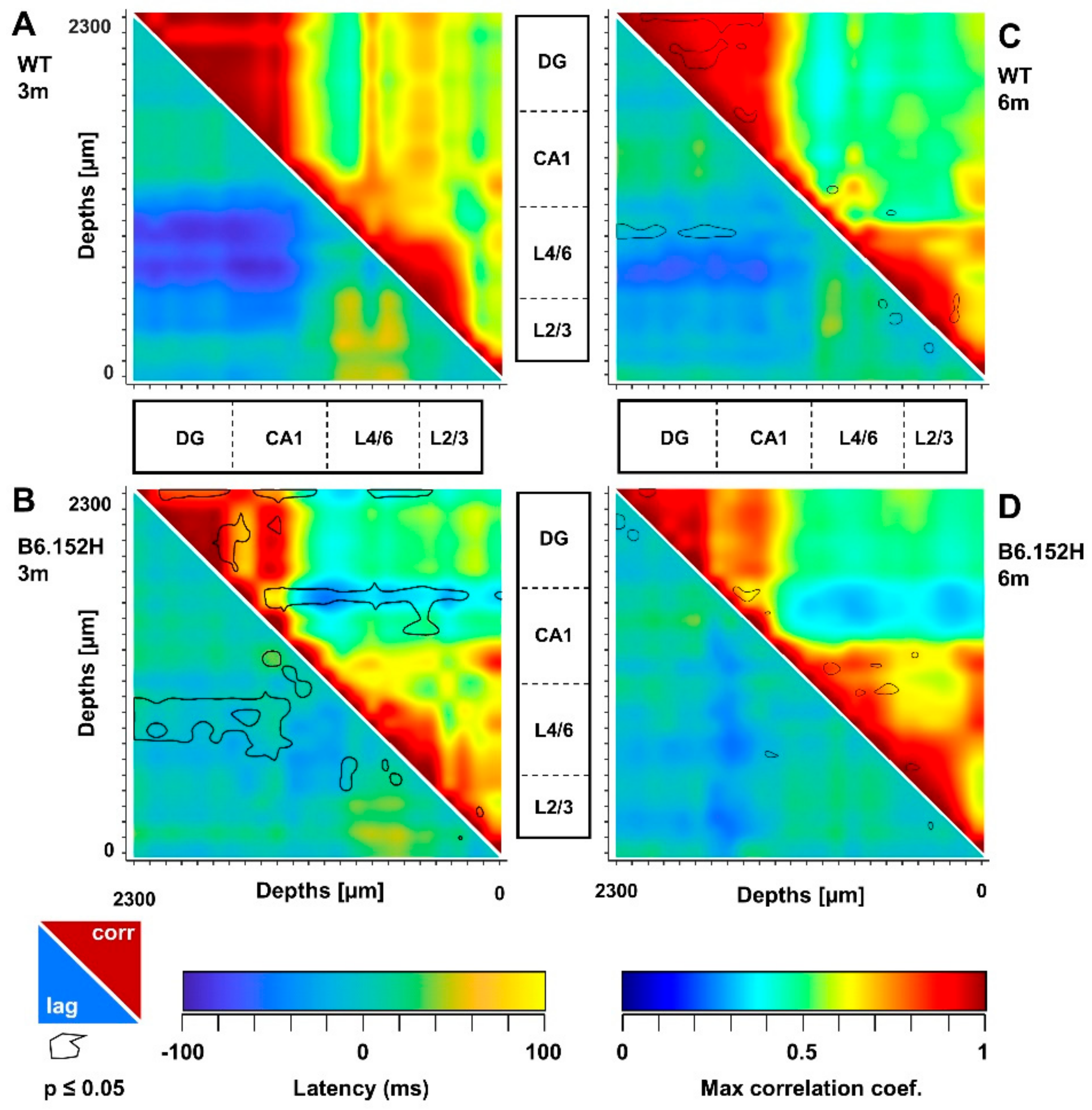 Cells 09 00054 g005 Cells 09 00054 g005
