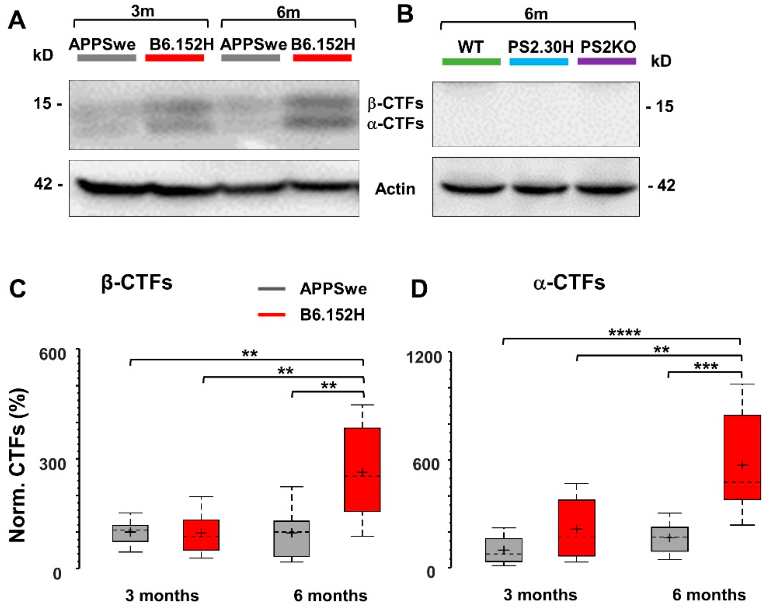 Cells 09 00054 g008 Cells 09 00054 g008